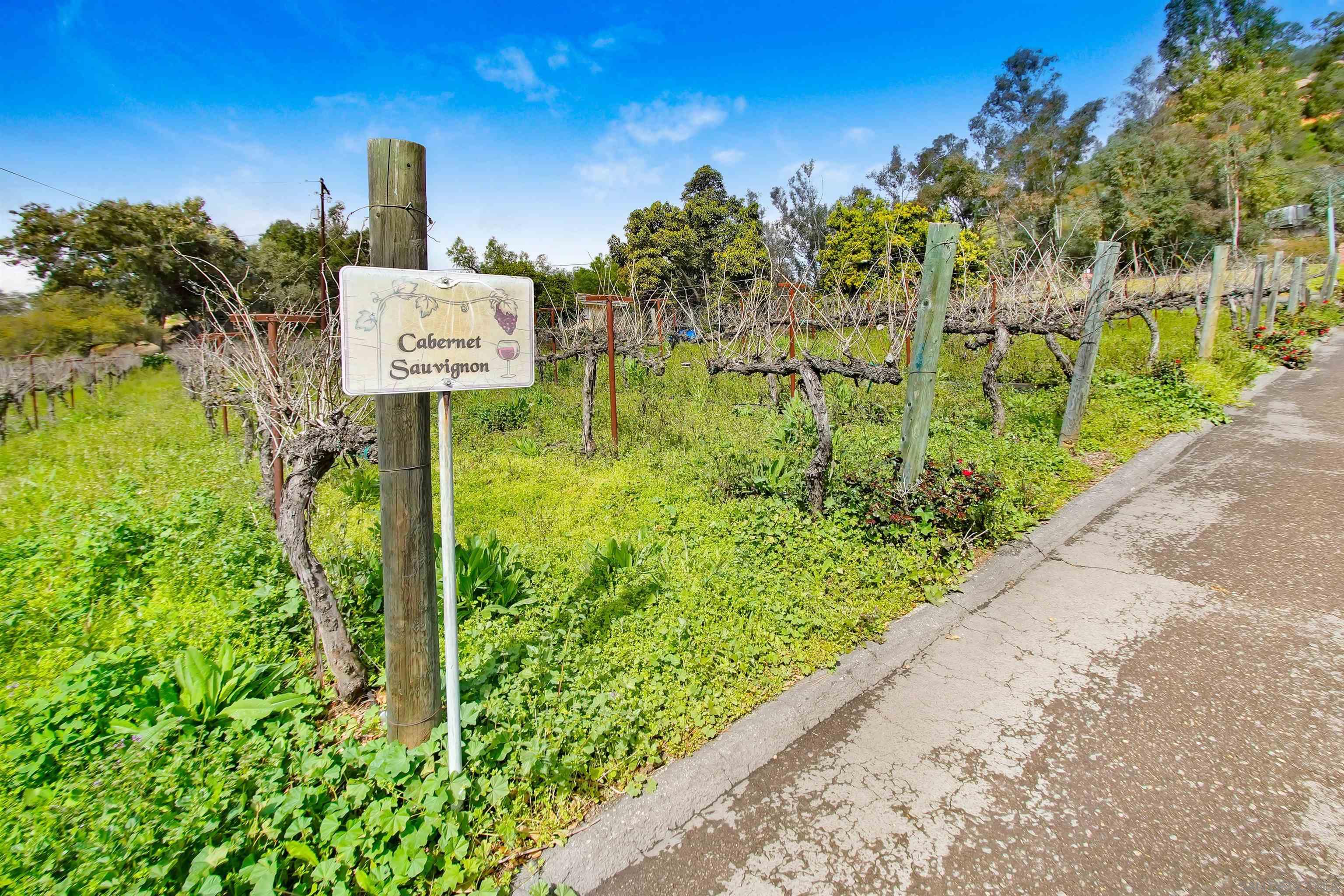 Detail Gallery Image 37 of 49 For 16757  Old Guejito Grade Road, Escondido,  CA 92027 - 15 Beds | 12/1 Baths