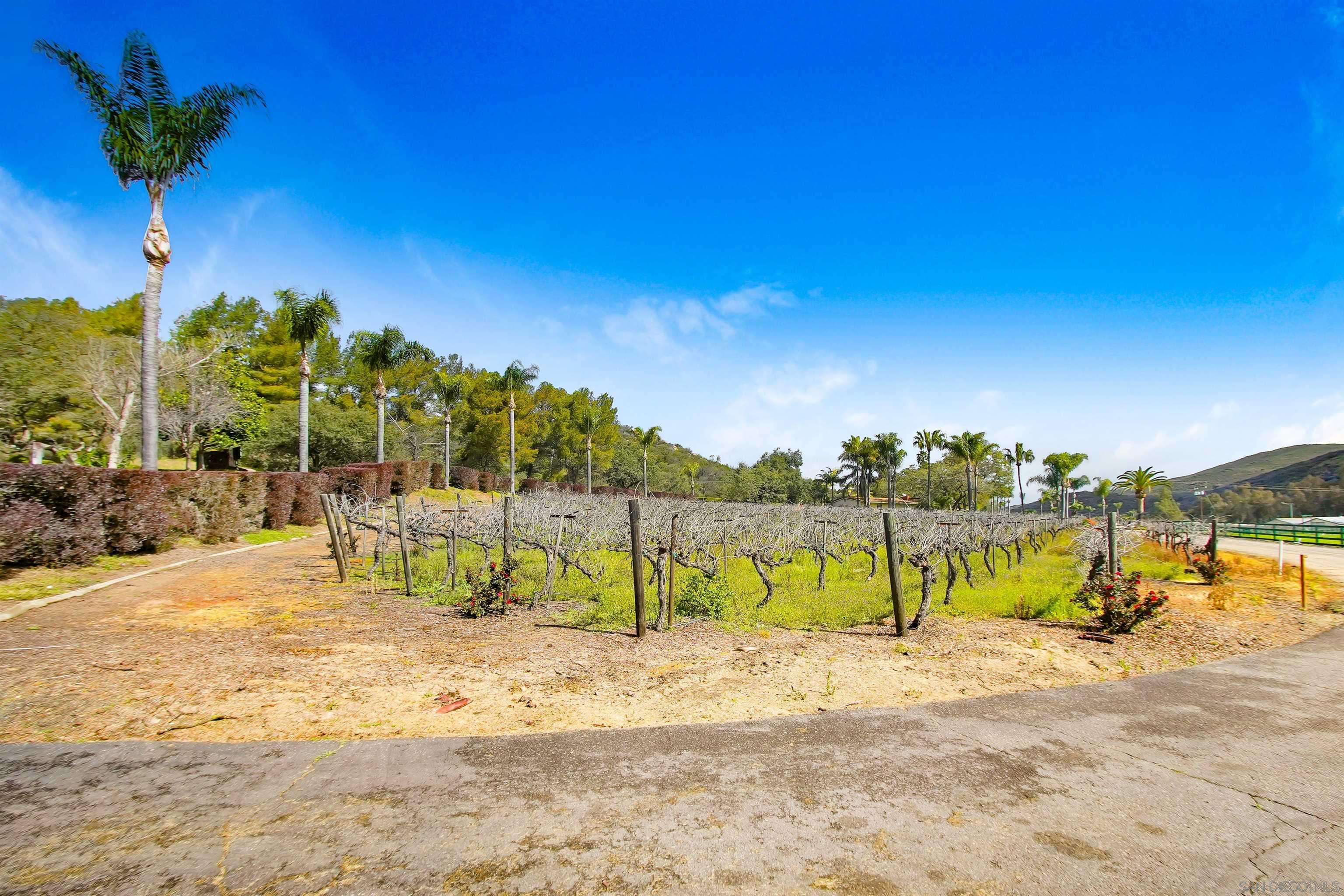 Detail Gallery Image 41 of 49 For 16757  Old Guejito Grade Road, Escondido,  CA 92027 - 15 Beds | 12/1 Baths