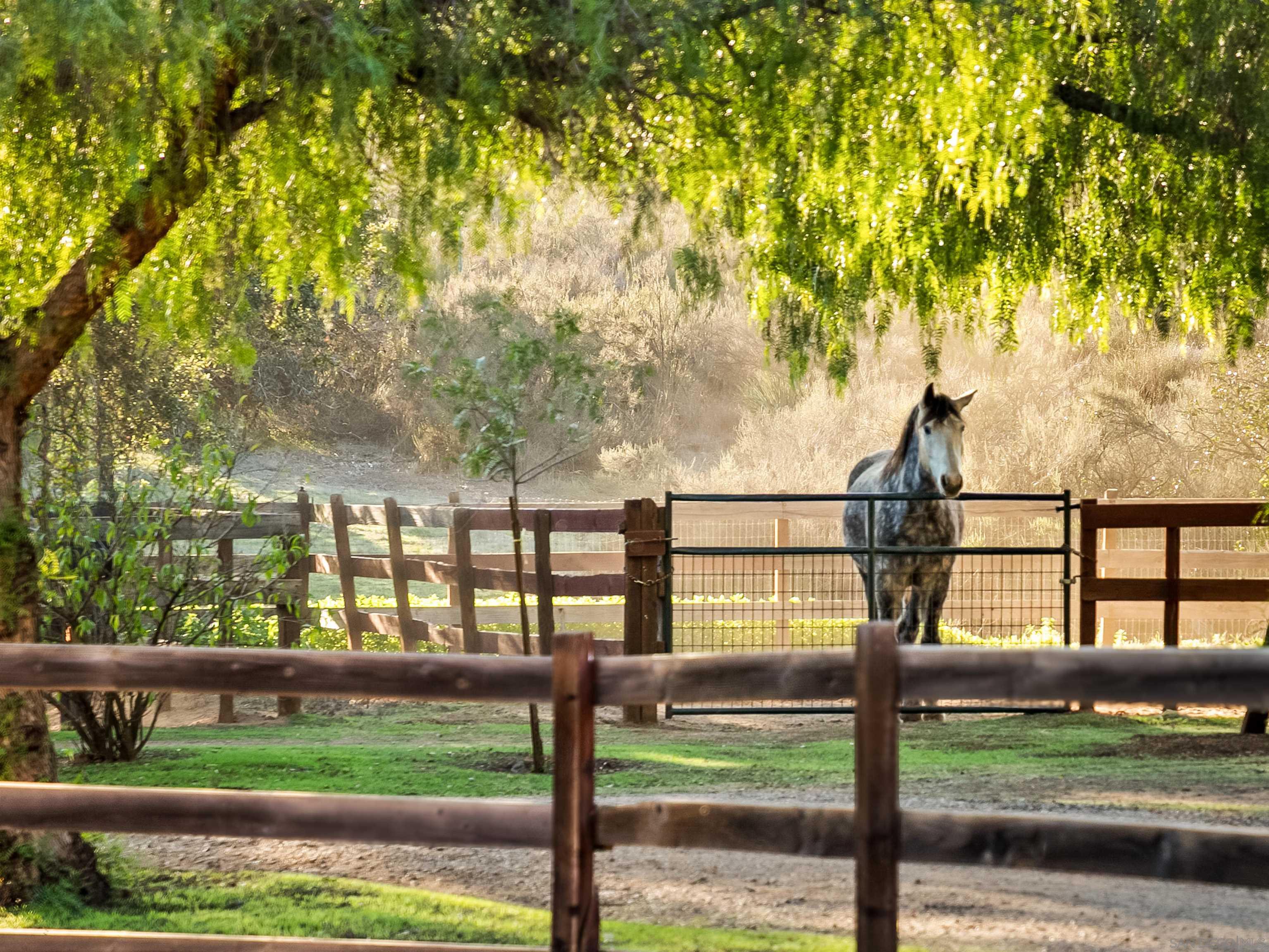 Detail Gallery Image 28 of 44 For 15336  Mesa Estates Ct, Ramona,  CA 92065 - 4 Beds | 4 Baths