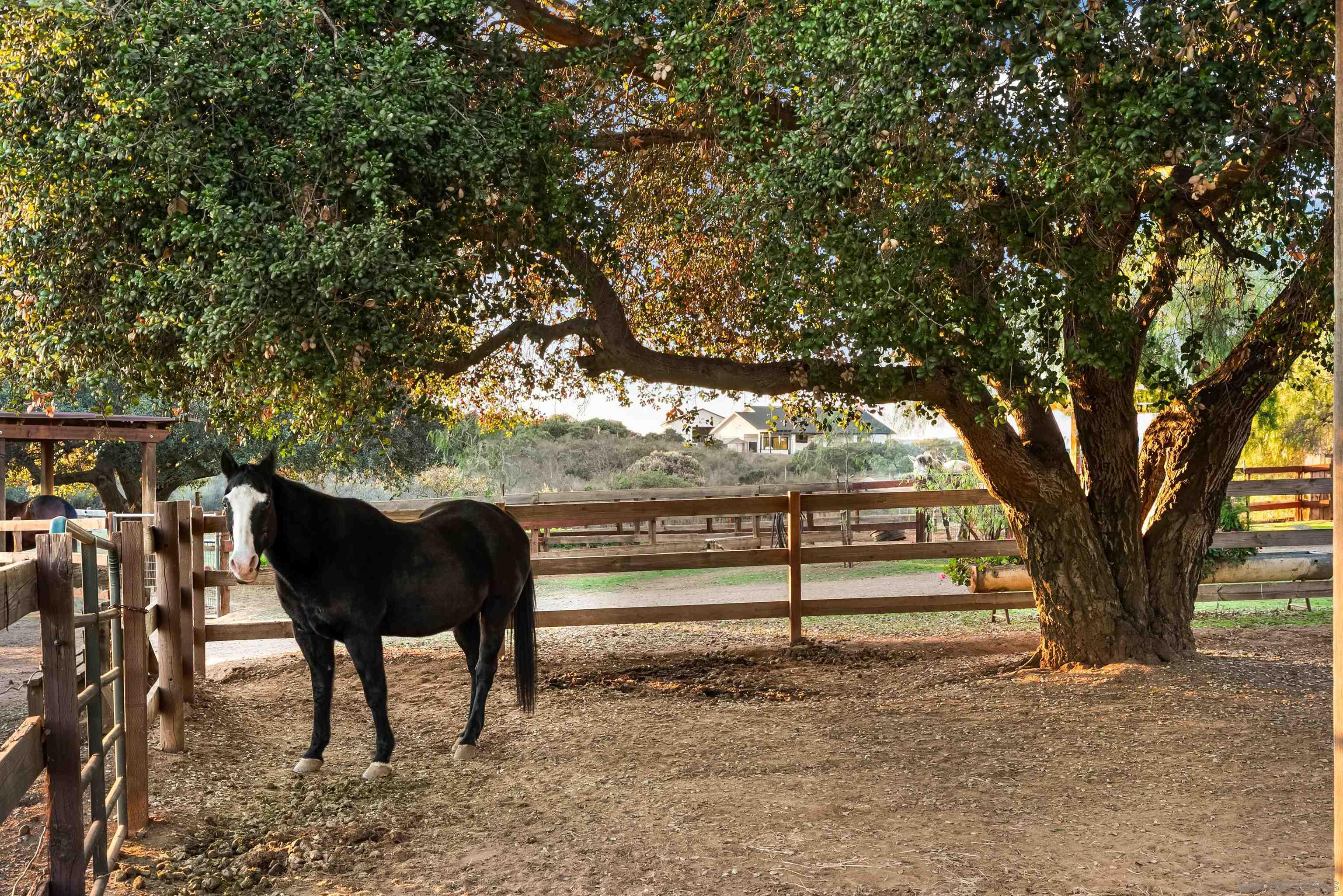 Detail Gallery Image 39 of 44 For 15336  Mesa Estates Ct, Ramona,  CA 92065 - 4 Beds | 4 Baths