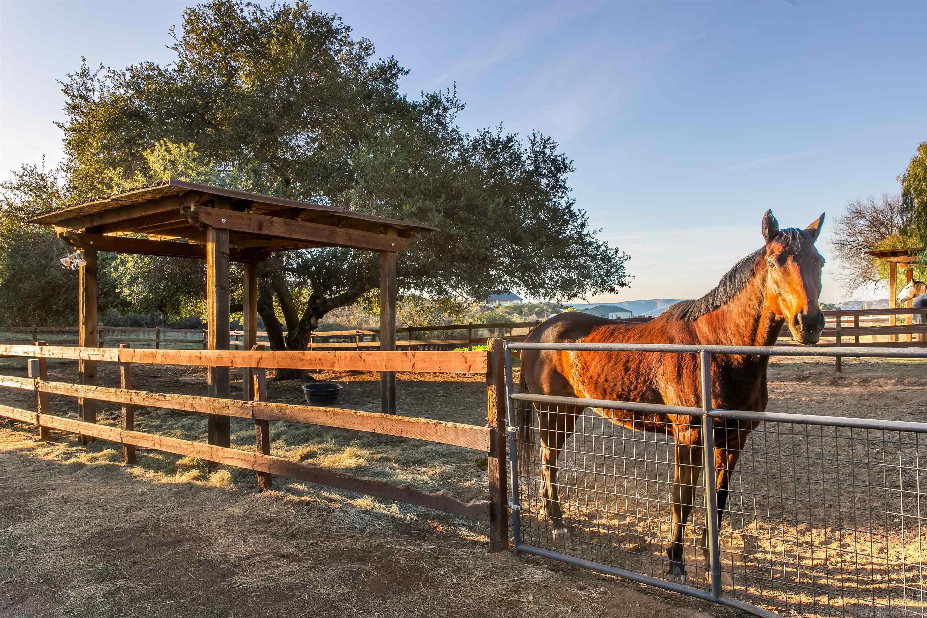 Detail Gallery Image 41 of 44 For 15336  Mesa Estates Ct, Ramona,  CA 92065 - 4 Beds | 4 Baths