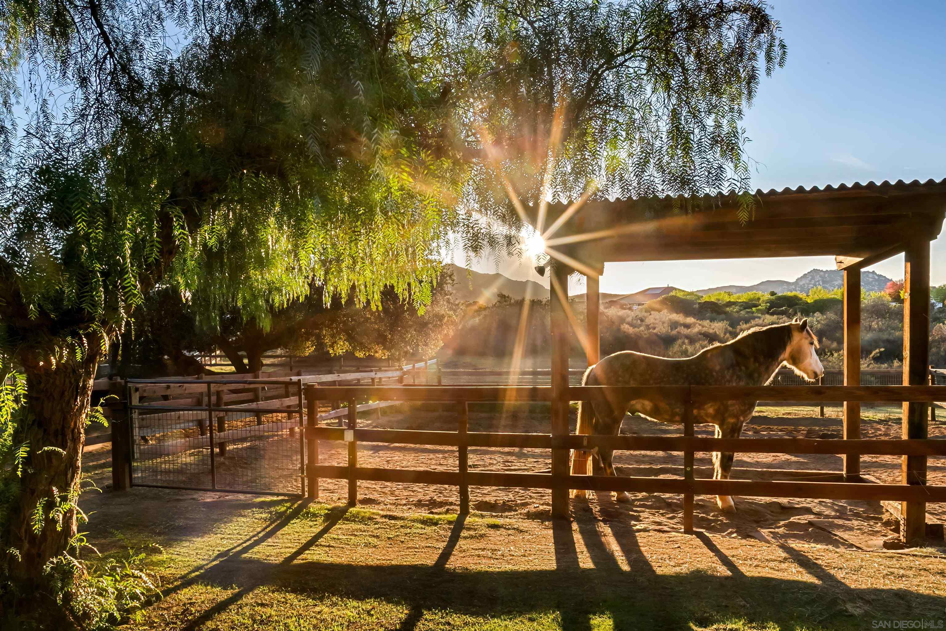 Detail Gallery Image 42 of 44 For 15336  Mesa Estates Ct, Ramona,  CA 92065 - 4 Beds | 4 Baths