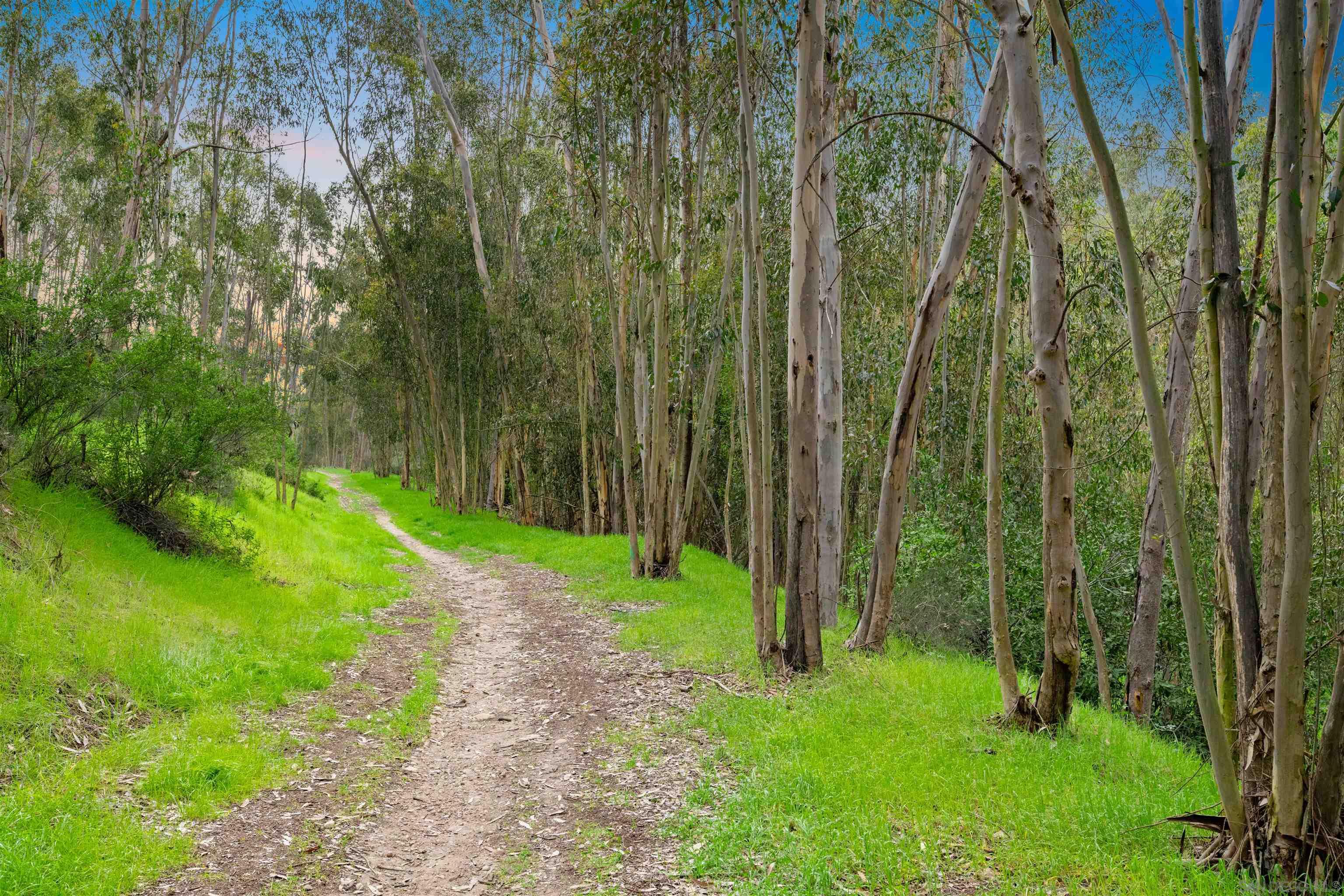 Detail Gallery Image 50 of 50 For 12294  Spruce Grove Pl, San Diego,  CA 92131 - 5 Beds | 3/1 Baths