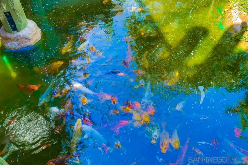 Detail Gallery Image 24 of 45 For 999 N Pacific St  #G321,  Oceanside,  CA 92054 - 2 Beds | 2 Baths