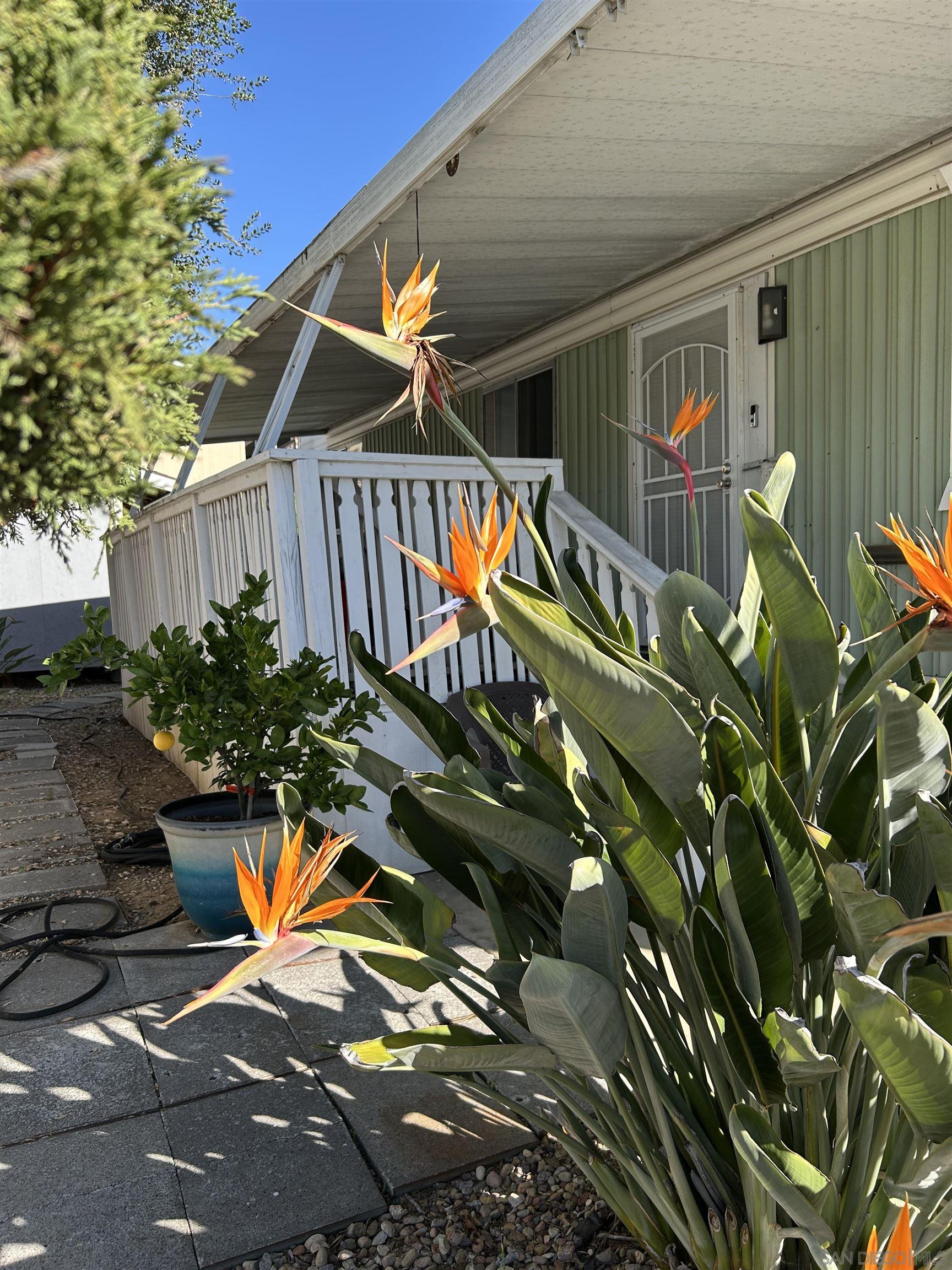 Detail Gallery Image 2 of 19 For 13300  Los Coches Rd East  #92,  El Cajon,  CA 92021 - 2 Beds | 2 Baths