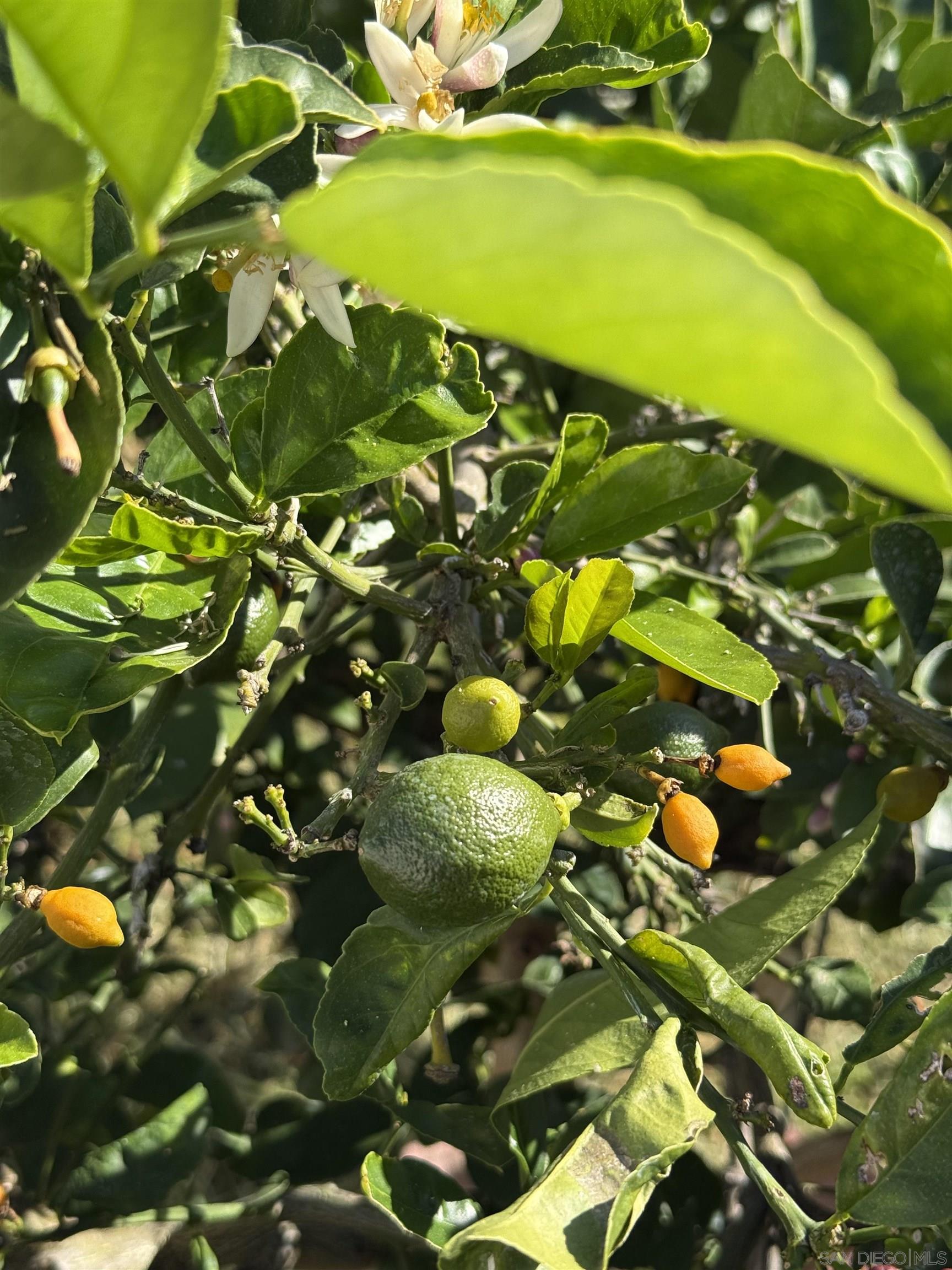 Detail Gallery Image 27 of 34 For 3280  Towser St, San Diego,  CA 92123 - 3 Beds | 2 Baths