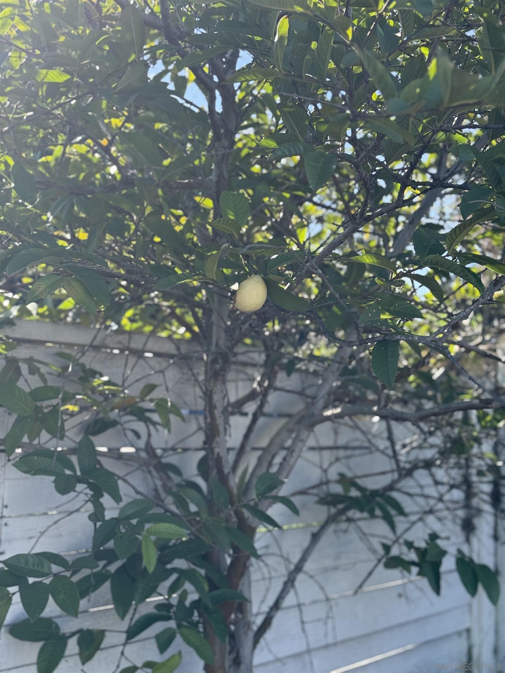 Detail Gallery Image 32 of 34 For 3280  Towser St, San Diego,  CA 92123 - 3 Beds | 2 Baths