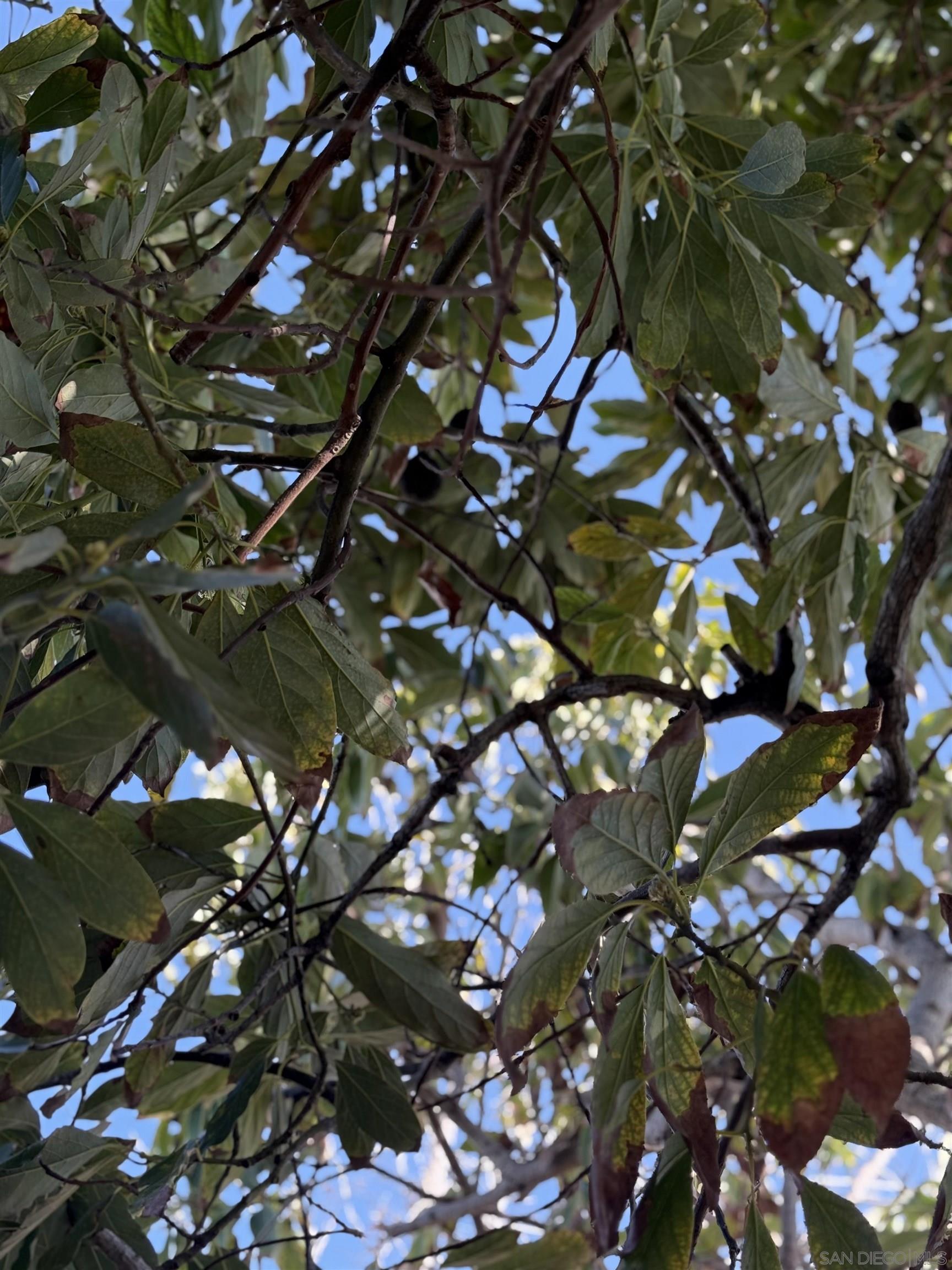 Detail Gallery Image 33 of 34 For 3280  Towser St, San Diego,  CA 92123 - 3 Beds | 2 Baths