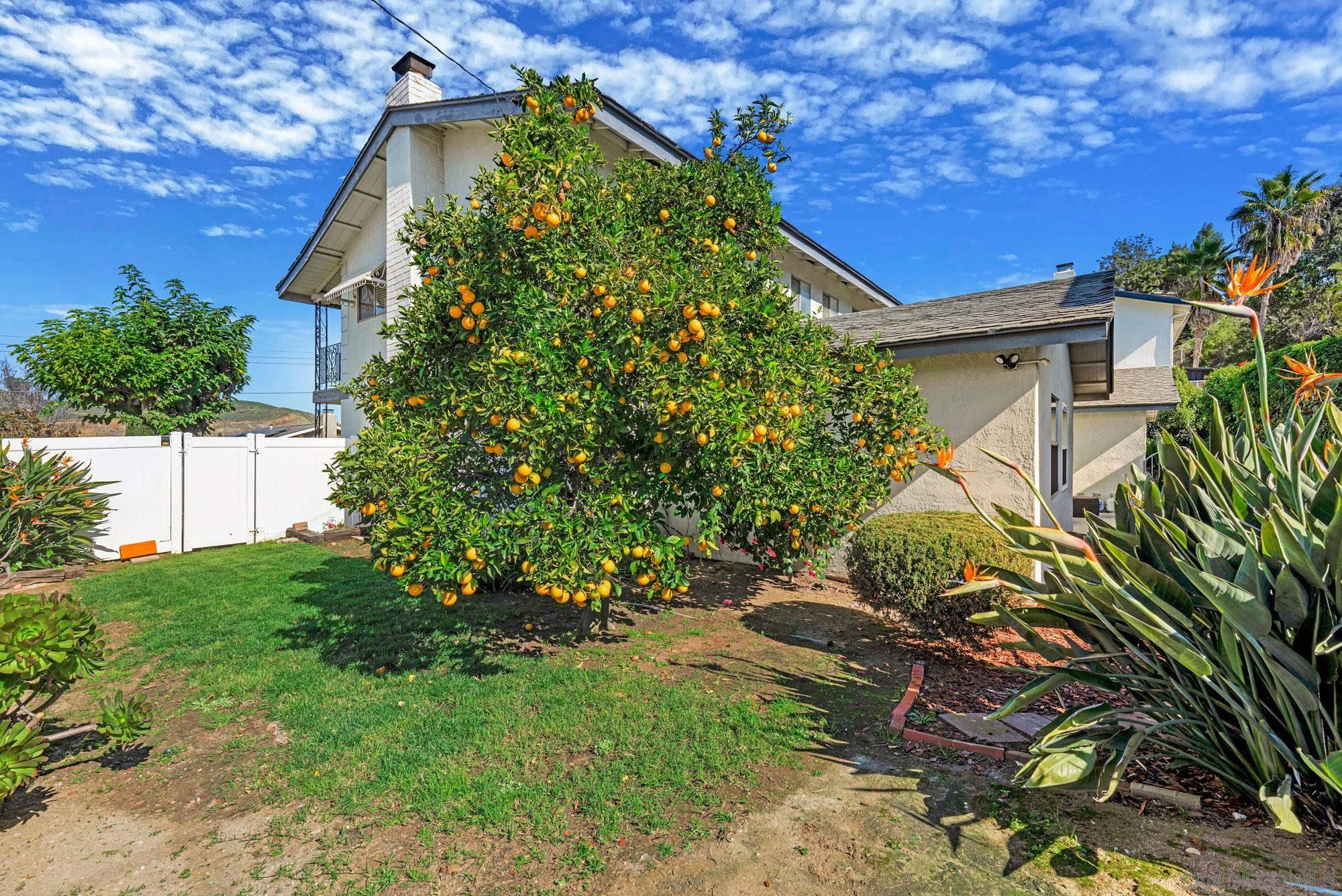 Detail Gallery Image 36 of 51 For 7201  Conestoga Place, San Diego,  CA 92120 - 4 Beds | 2/1 Baths