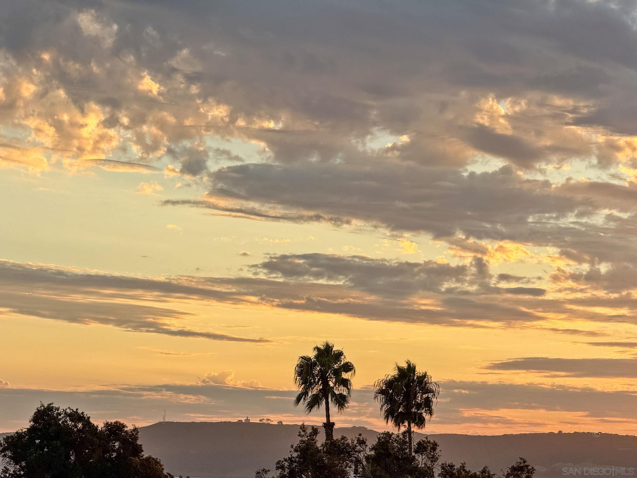 Detail Gallery Image 17 of 57 For 1100  Pine St, Coronado,  CA 92118 - 5 Beds | 5 Baths