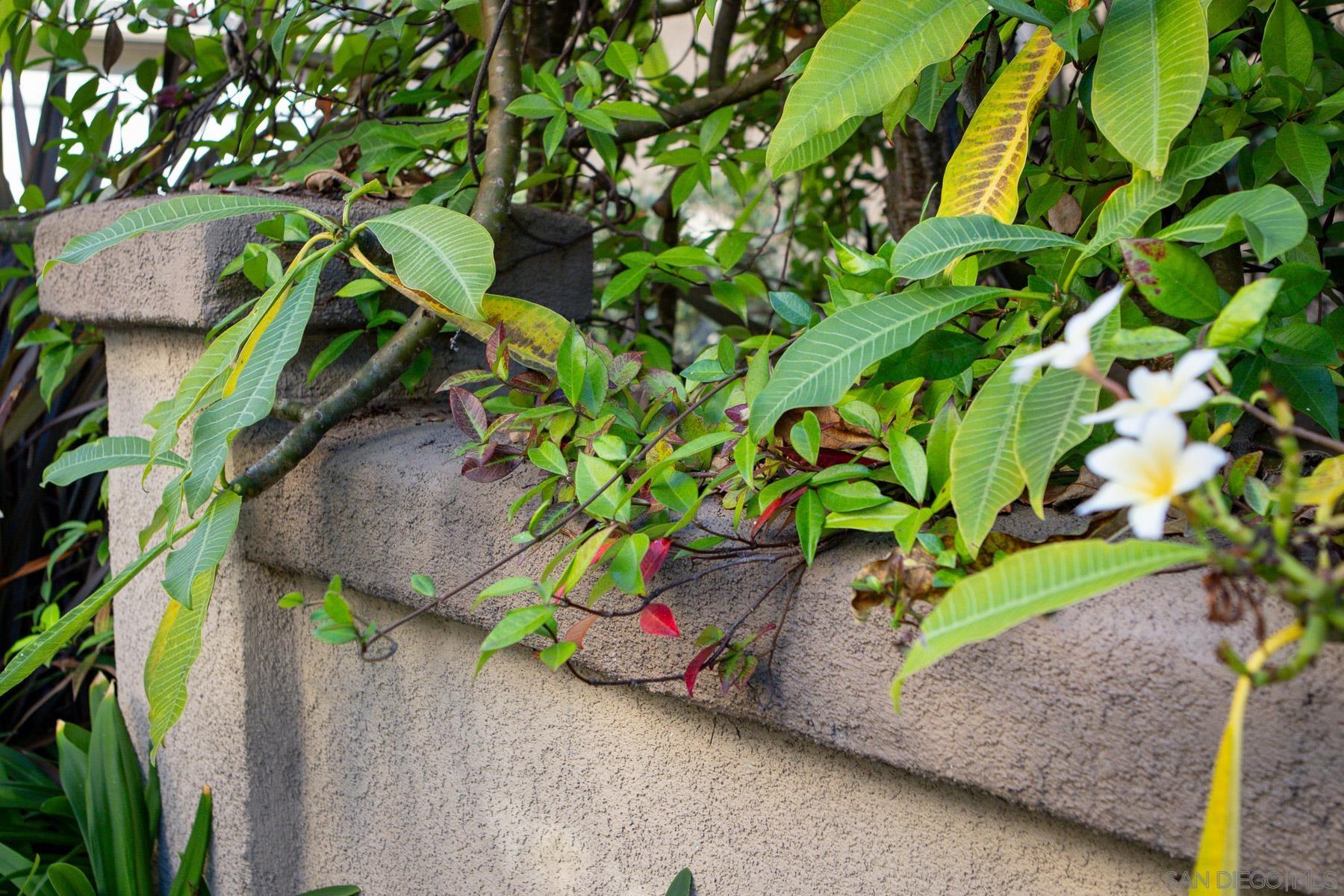 Detail Gallery Image 31 of 36 For 10447  Whitcomb Way  #161,  San Diego,  CA 92127 - 4 Beds | 2/1 Baths