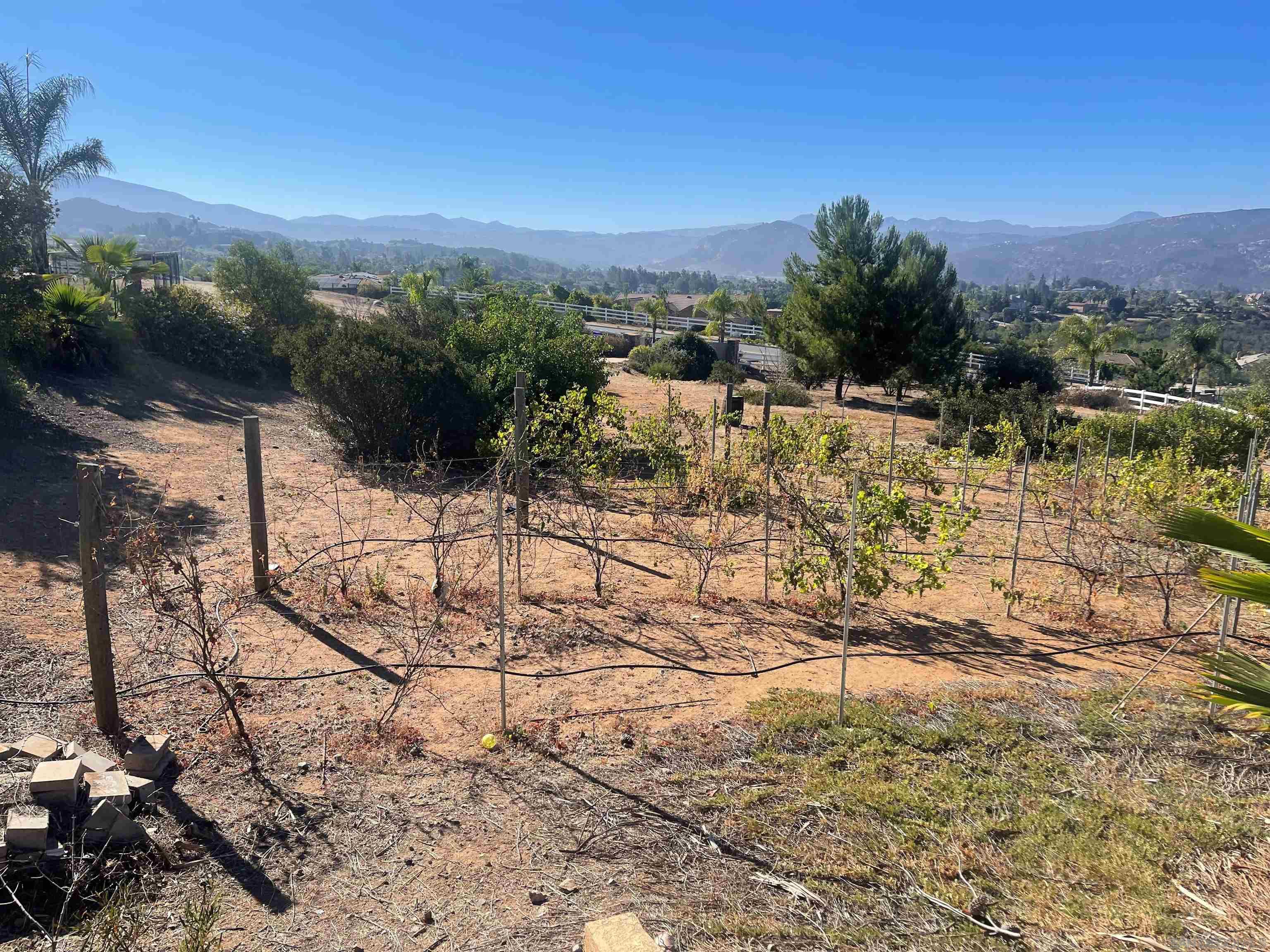 Detail Gallery Image 51 of 69 For 15068  Creek Hills Rd, El Cajon,  CA 92021 - 6 Beds | 5/1 Baths