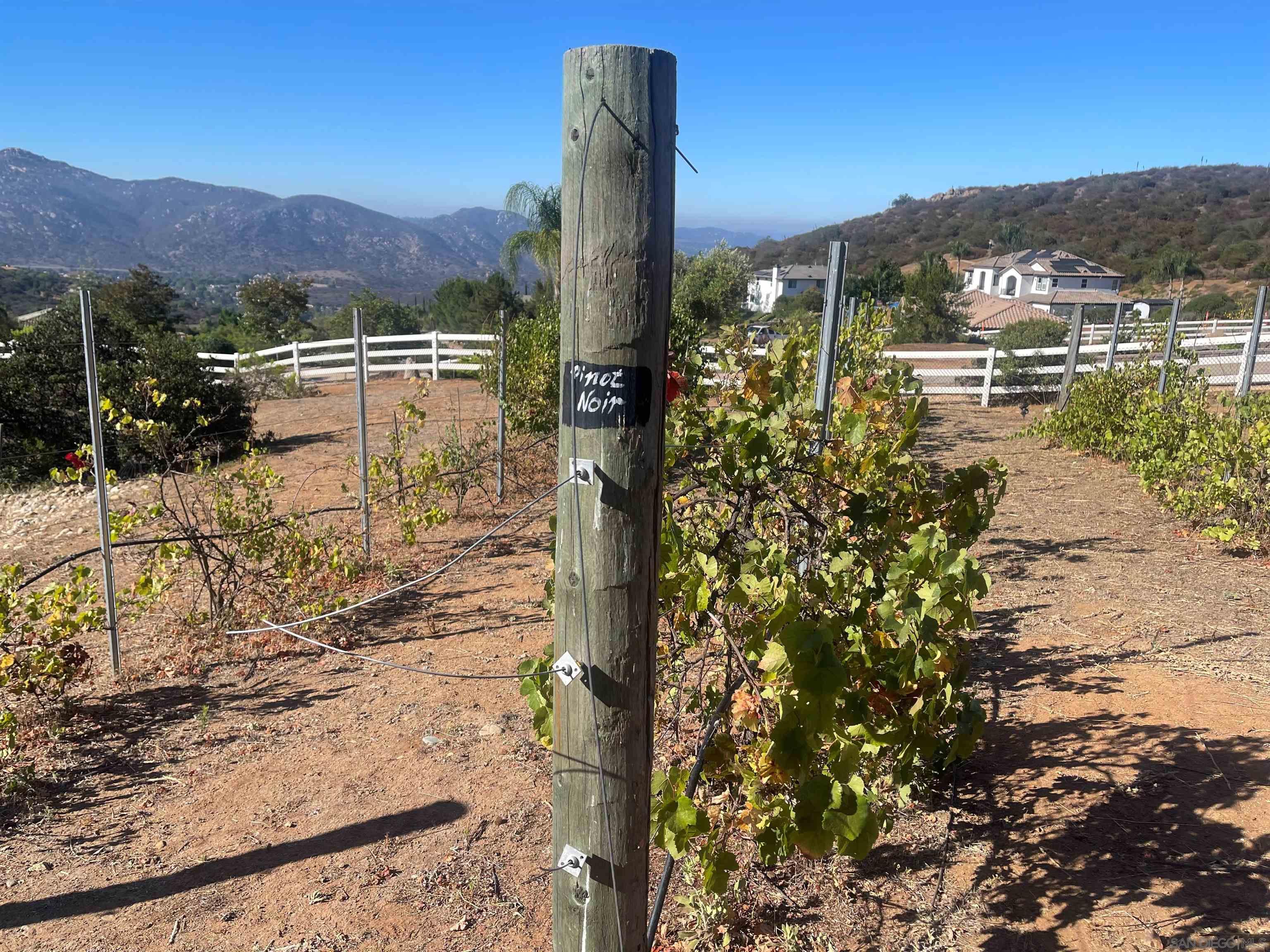 Detail Gallery Image 53 of 69 For 15068  Creek Hills Rd, El Cajon,  CA 92021 - 6 Beds | 5/1 Baths