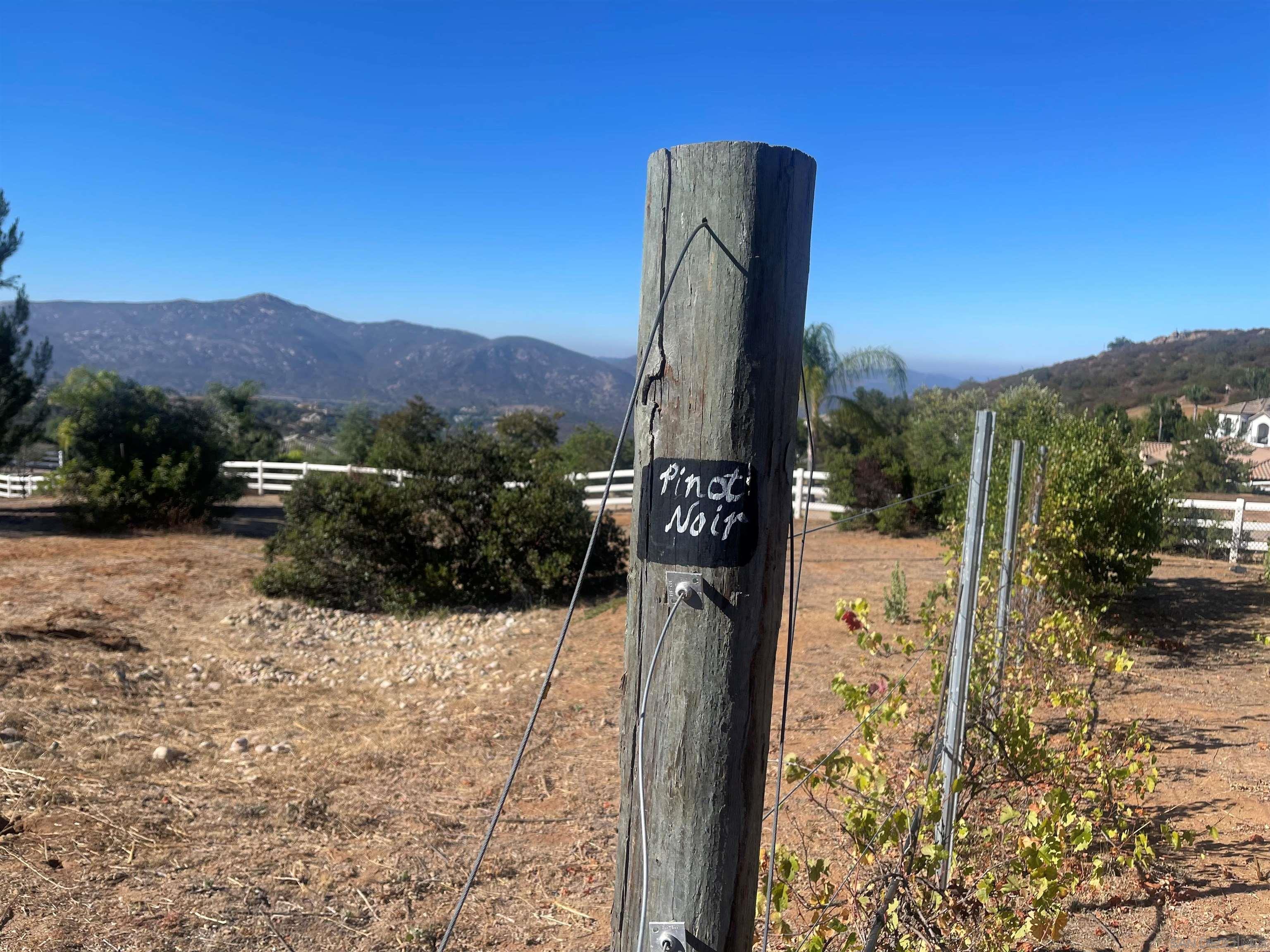 Detail Gallery Image 54 of 69 For 15068  Creek Hills Rd, El Cajon,  CA 92021 - 6 Beds | 5/1 Baths