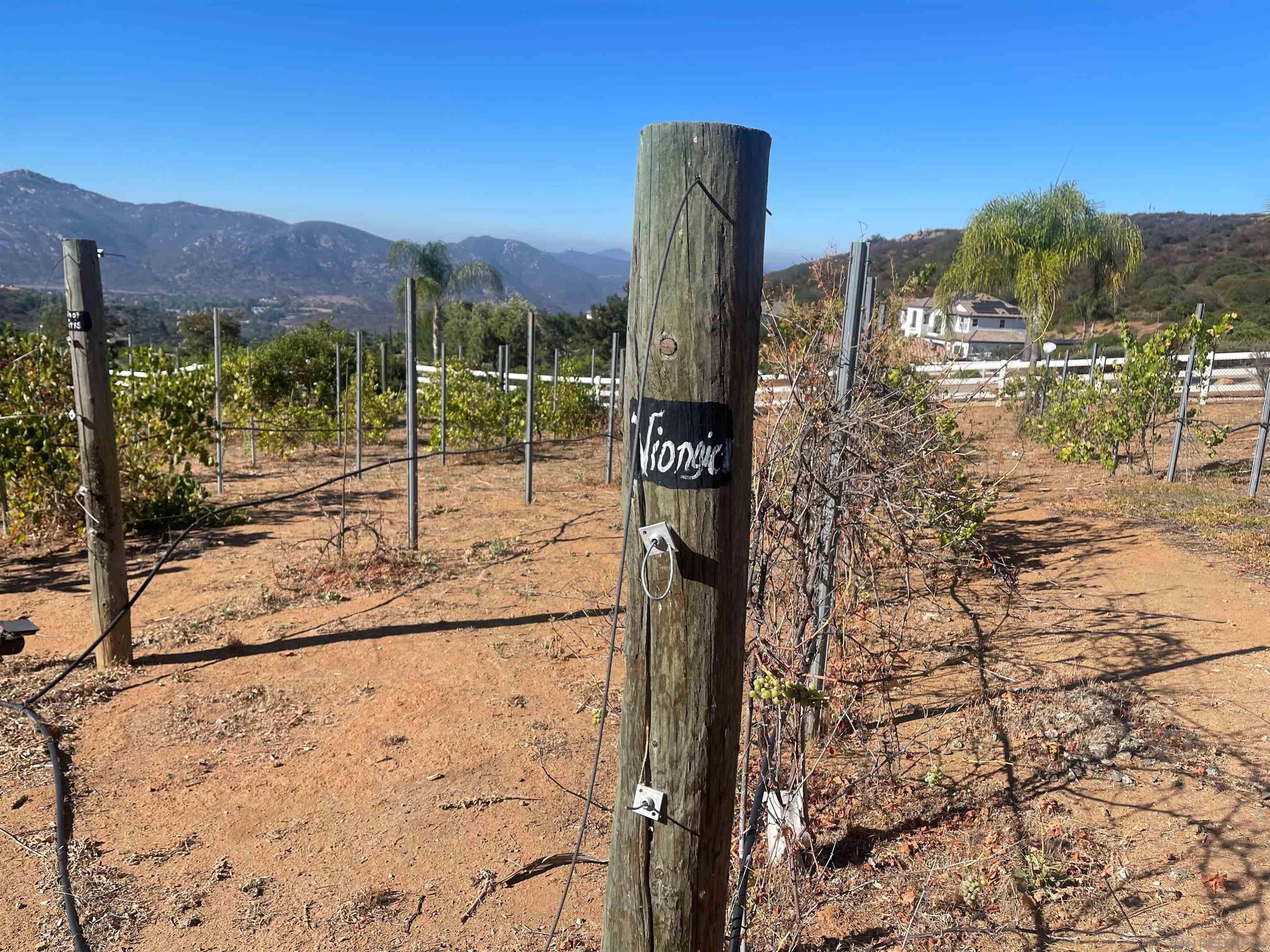 Detail Gallery Image 55 of 69 For 15068  Creek Hills Rd, El Cajon,  CA 92021 - 6 Beds | 5/1 Baths