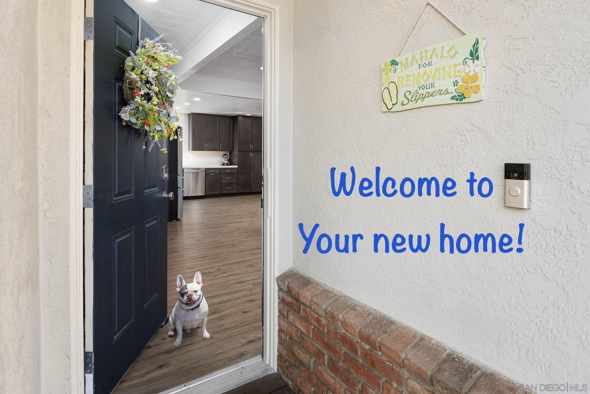 Front Image Thumbnail for SD260002498