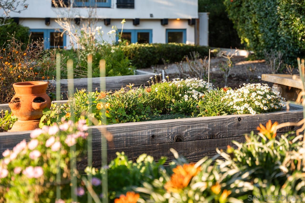 Detail Gallery Image 12 of 75 For 1205  Muirlands Dr, La Jolla,  CA 92037 - 8 Beds | 9/4 Baths