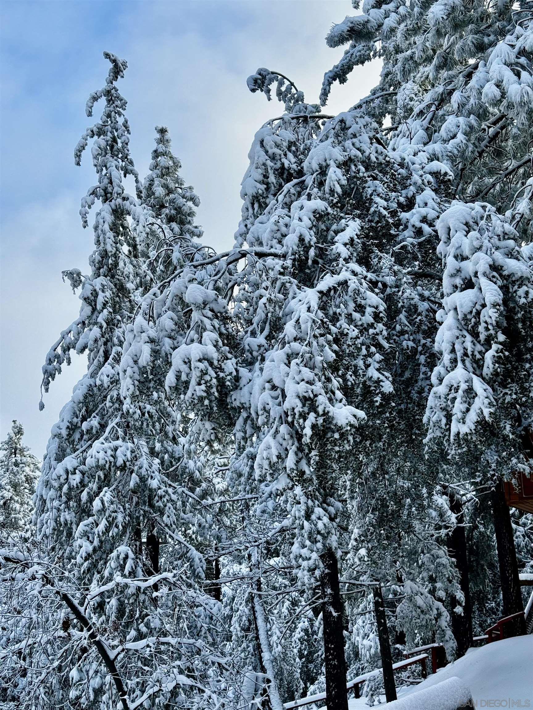 Detail Gallery Image 50 of 53 For 27720  Saunders Meadow Rd, Idyllwild,  CA 92549 - 3 Beds | 2/1 Baths