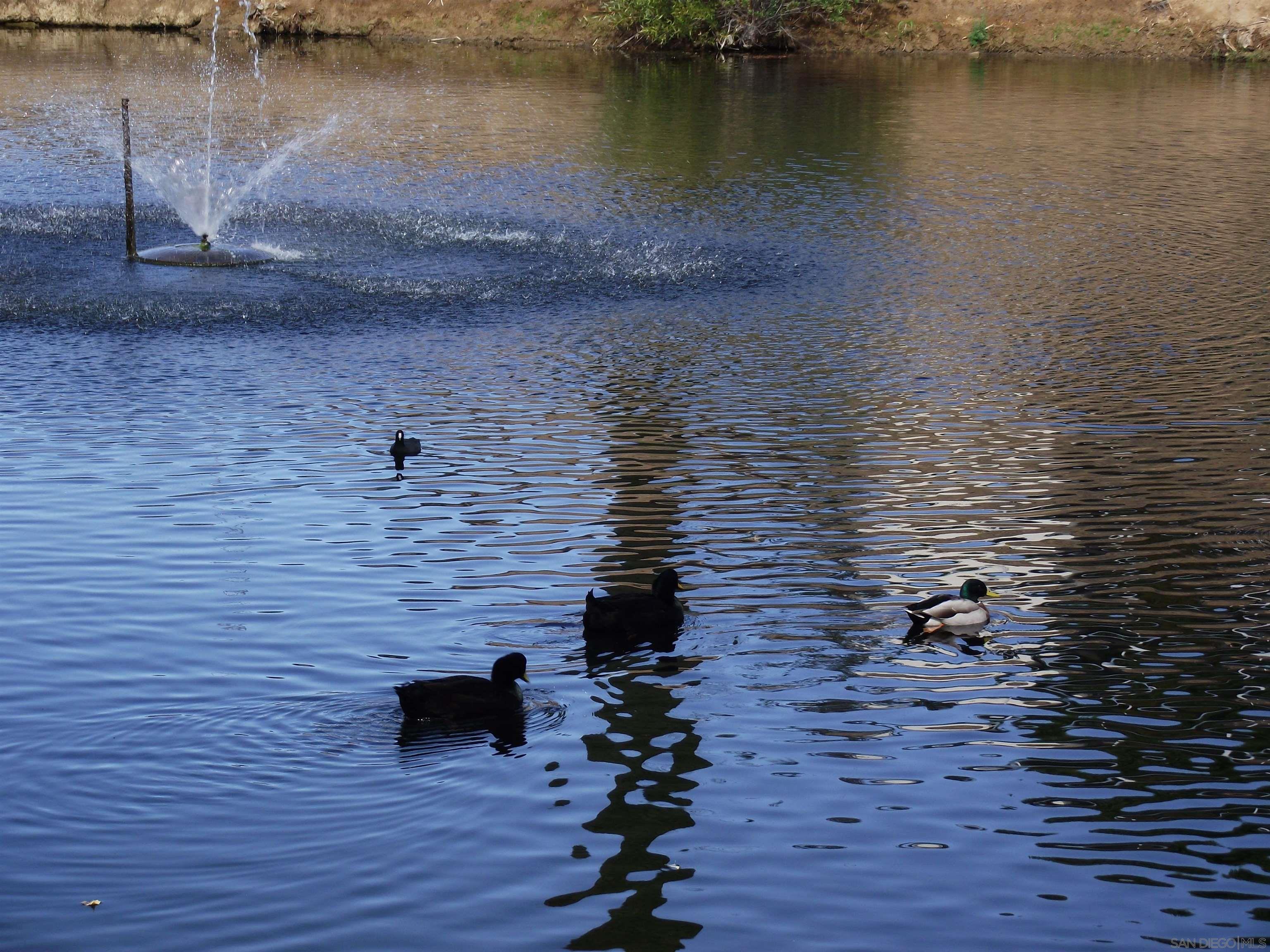 Detail Gallery Image 36 of 47 For 35109  Highway 79  Space #10,  Warner Springs,  CA 92086 - 3 Beds | 2 Baths