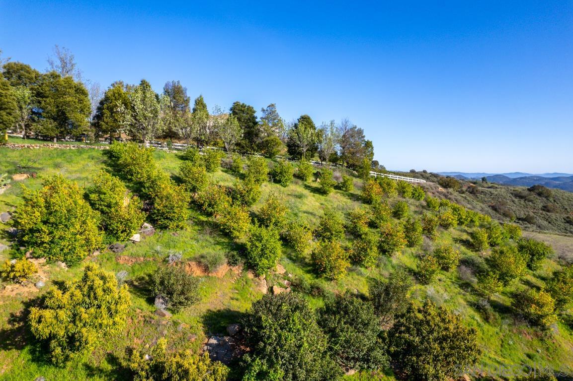 Detail Gallery Image 24 of 30 For , Temecula,  CA 92590 - – Beds | – Baths