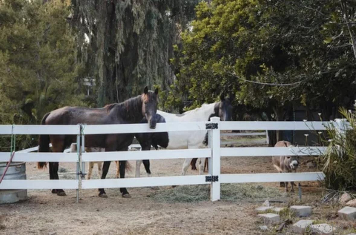 Front Image Thumbnail for SD260002856