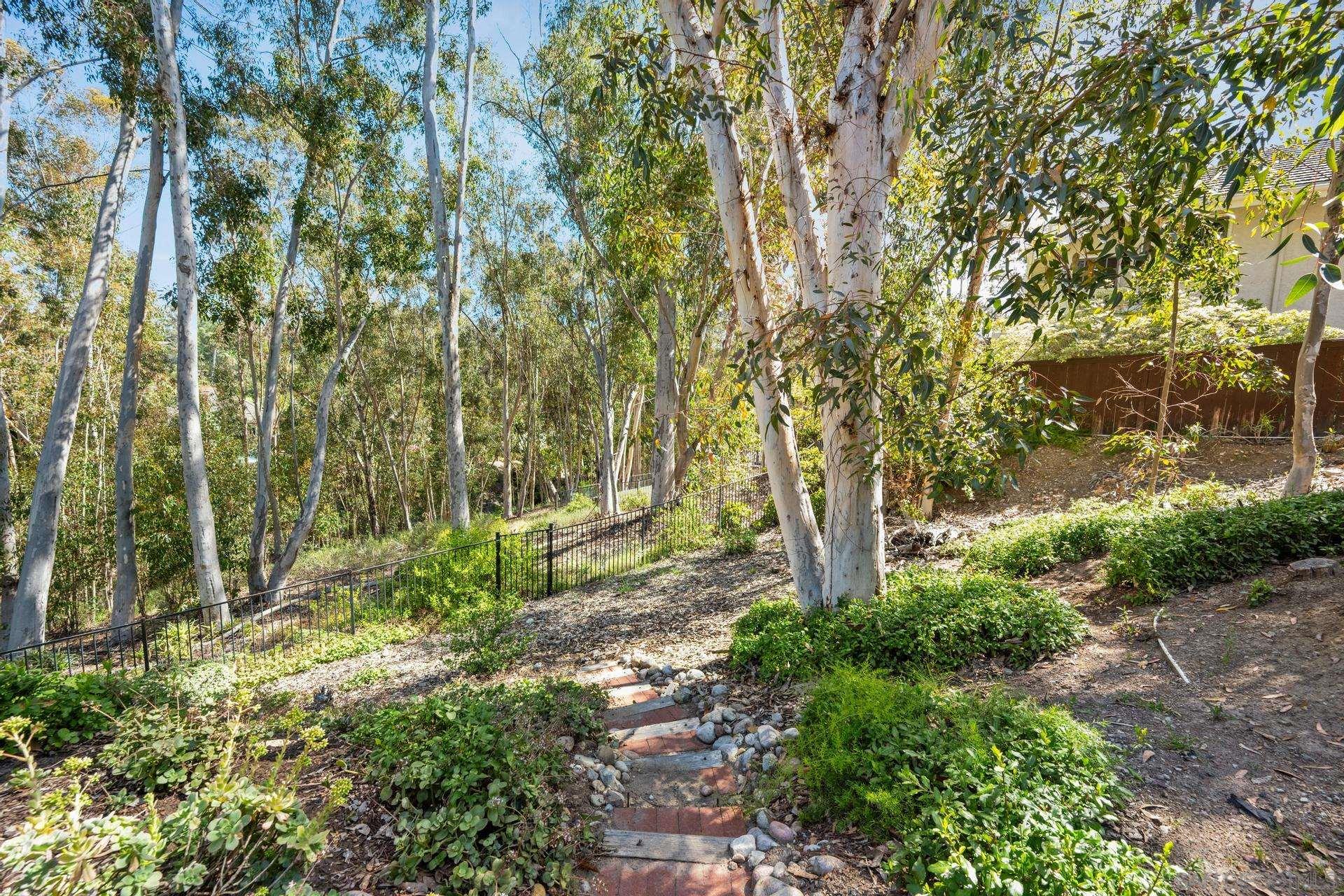 Detail Gallery Image 23 of 34 For 10575  Spruce Grove Ave, San Diego,  CA 92131 - 5 Beds | 3/1 Baths