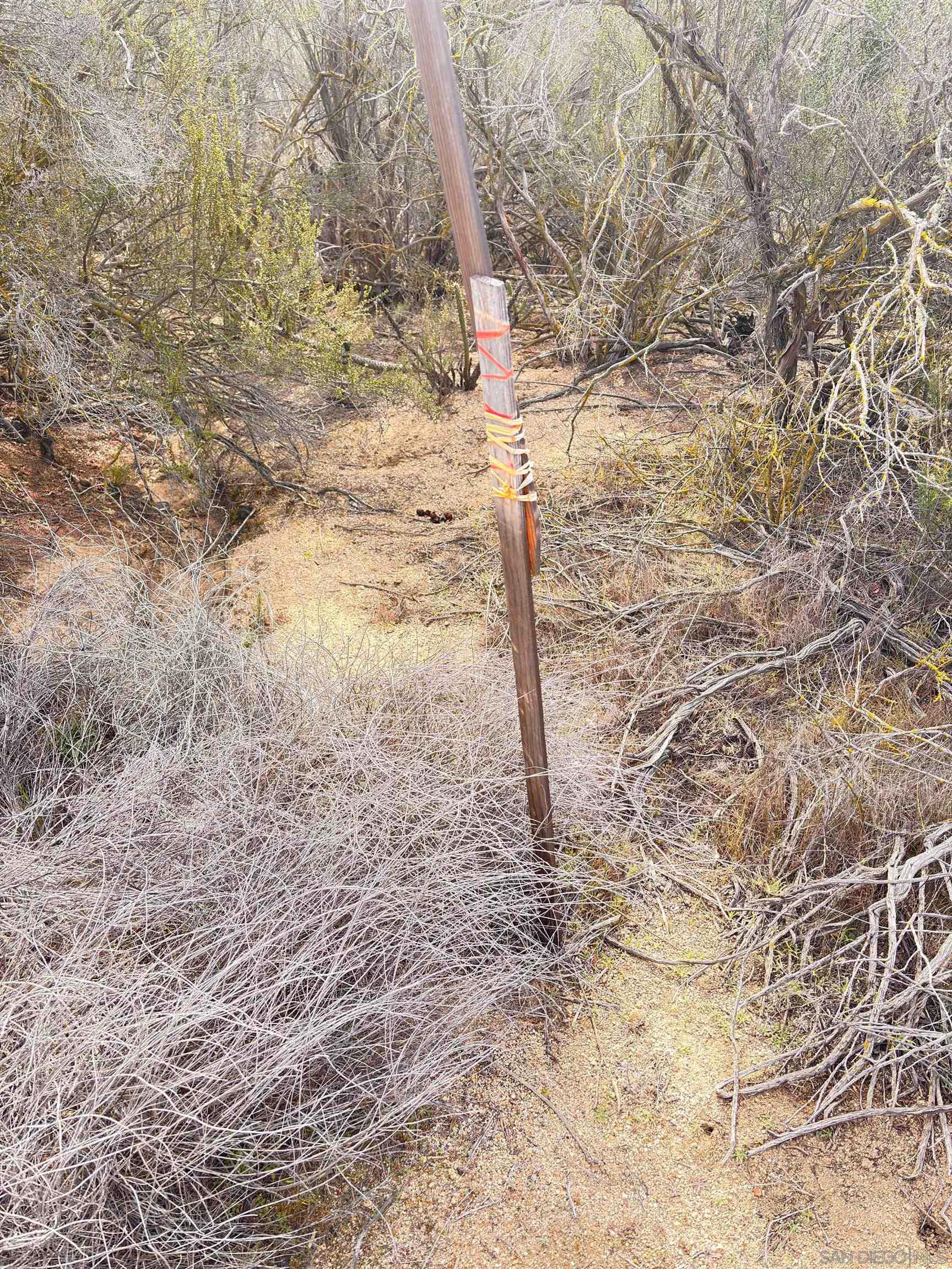 Detail Gallery Image 4 of 11 For , Campo,  CA 91906 - – Beds | – Baths