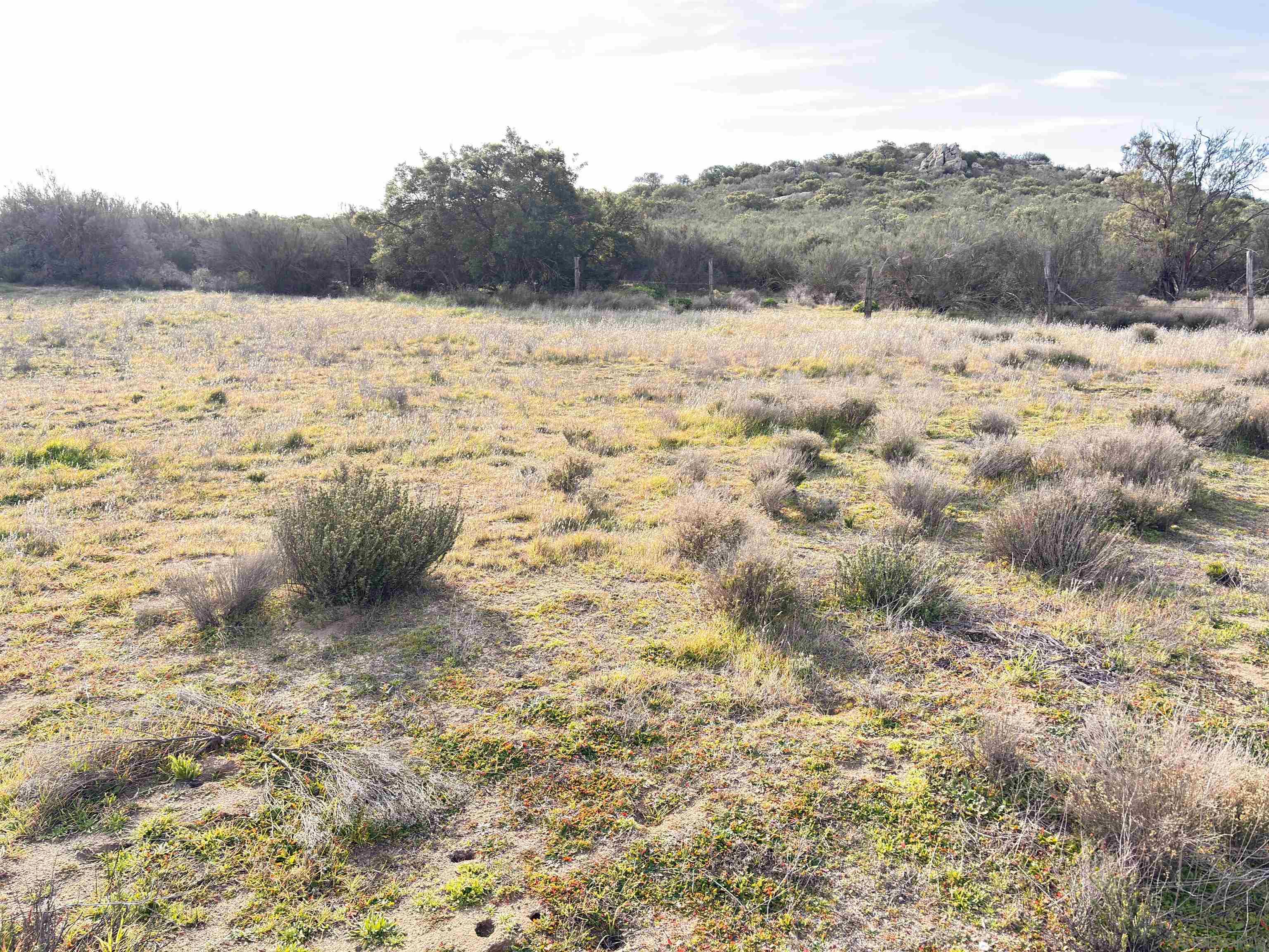 Detail Gallery Image 7 of 11 For , Campo,  CA 91906 - – Beds | – Baths