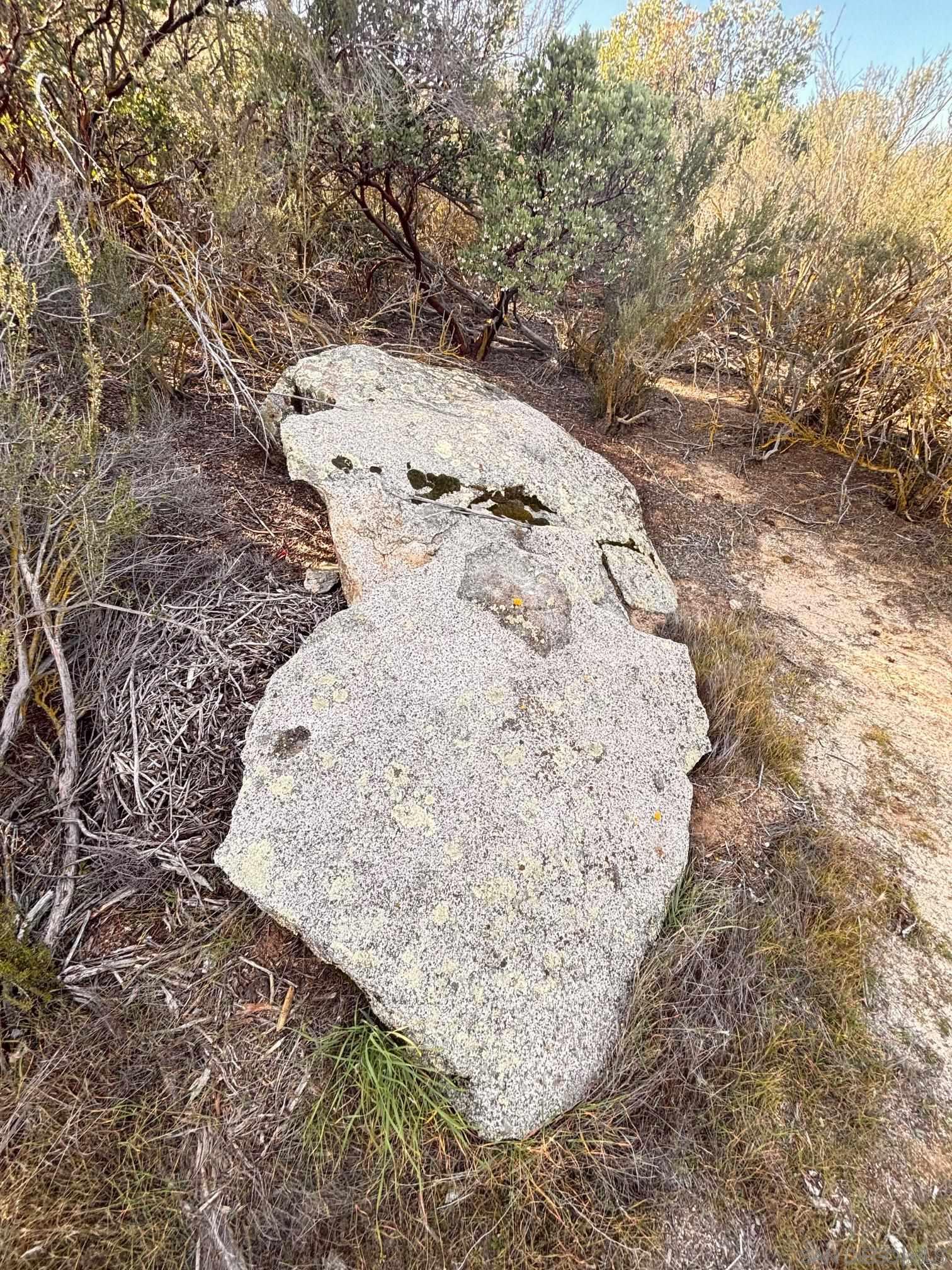 Detail Gallery Image 9 of 11 For , Campo,  CA 91906 - – Beds | – Baths