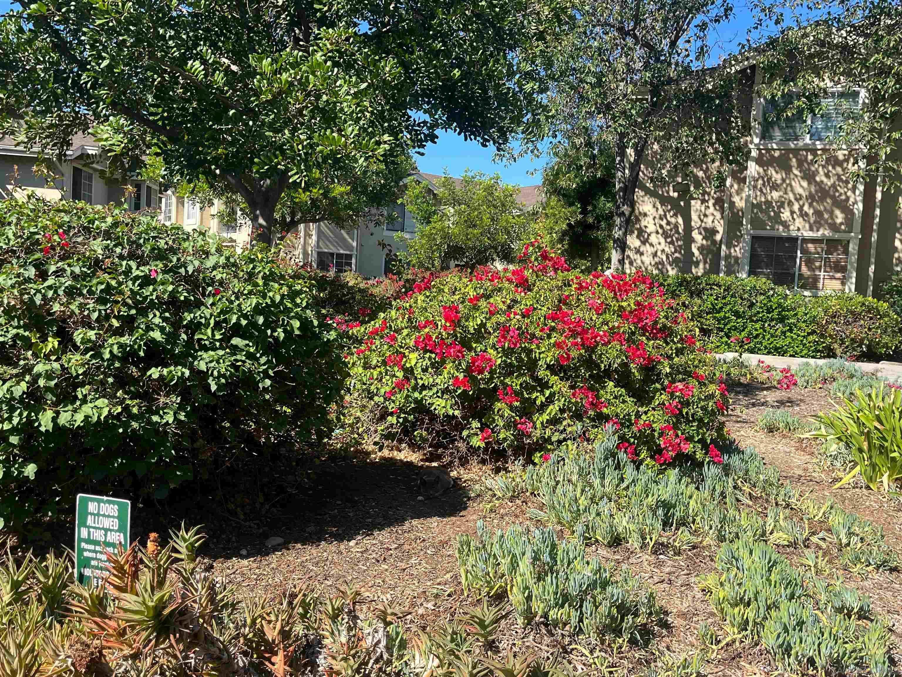 Detail Gallery Image 21 of 28 For 3635 Grove St  267  #267,  Lemon Grove,  CA 91945 - 3 Beds | 2 Baths