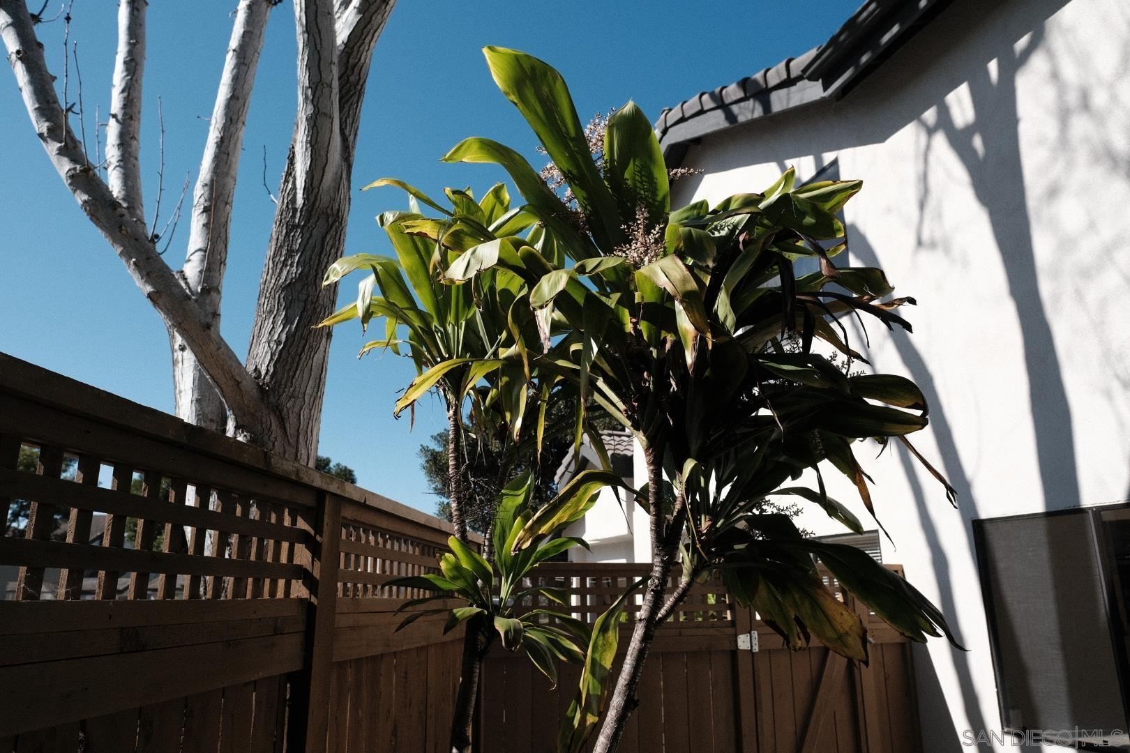 Detail Gallery Image 26 of 34 For 6306  Caminito Del Cervato, San Diego,  CA 92111 - 2 Beds | 2/1 Baths