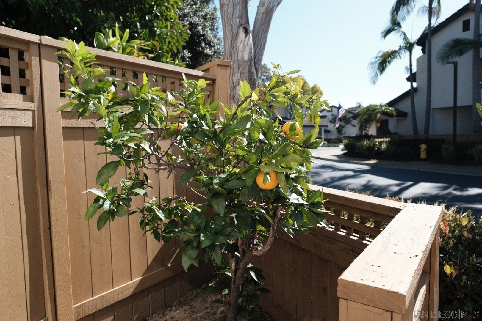 Detail Gallery Image 28 of 34 For 6306  Caminito Del Cervato, San Diego,  CA 92111 - 2 Beds | 2/1 Baths