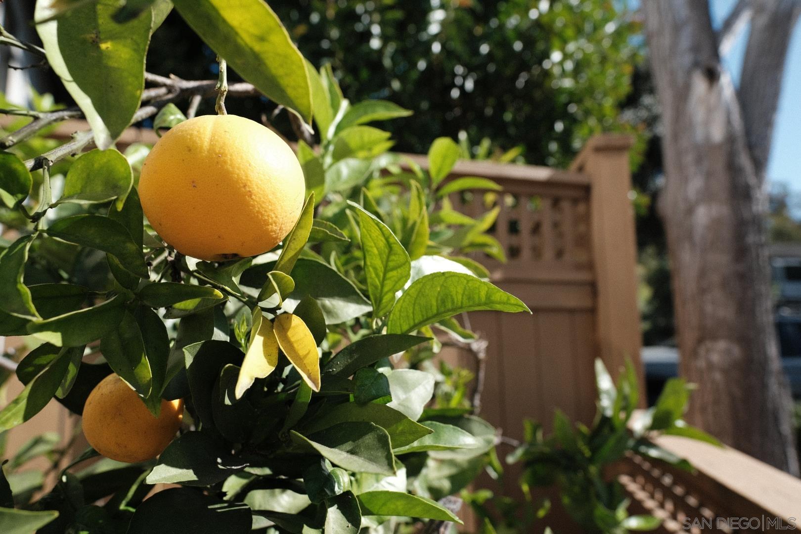 Detail Gallery Image 29 of 34 For 6306  Caminito Del Cervato, San Diego,  CA 92111 - 2 Beds | 2/1 Baths