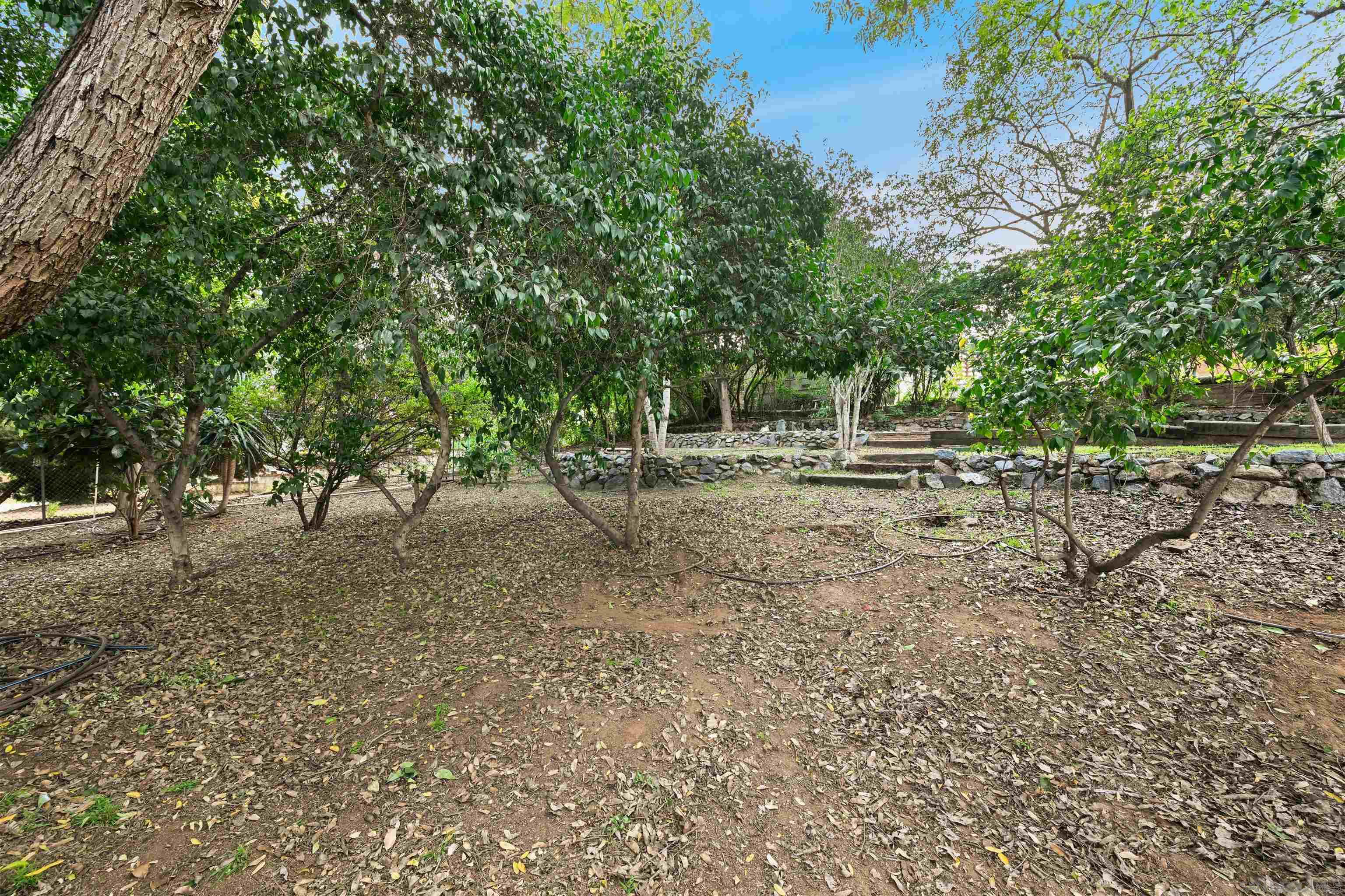 Detail Gallery Image 30 of 36 For 8615  Mariposa St, La Mesa,  CA 91941 - 4 Beds | 2/1 Baths