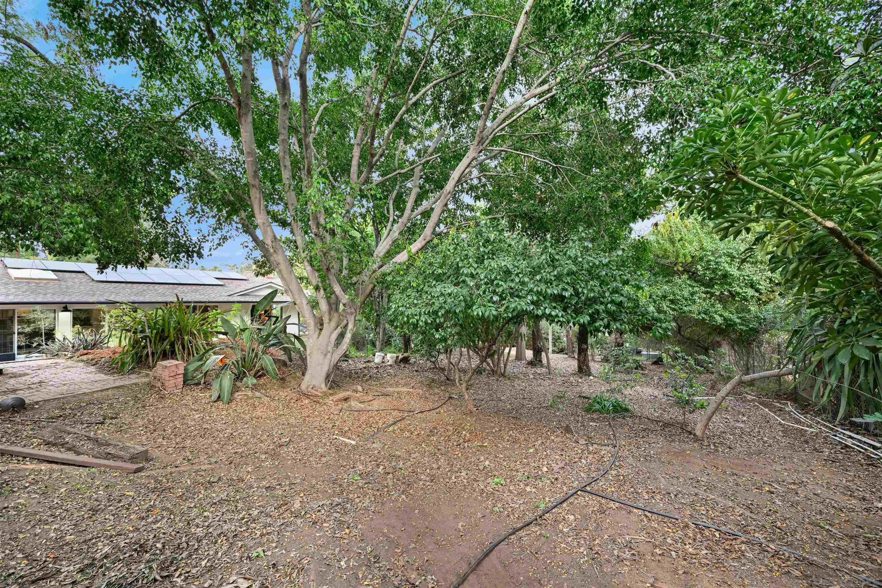 Detail Gallery Image 32 of 36 For 8615  Mariposa St, La Mesa,  CA 91941 - 4 Beds | 2/1 Baths