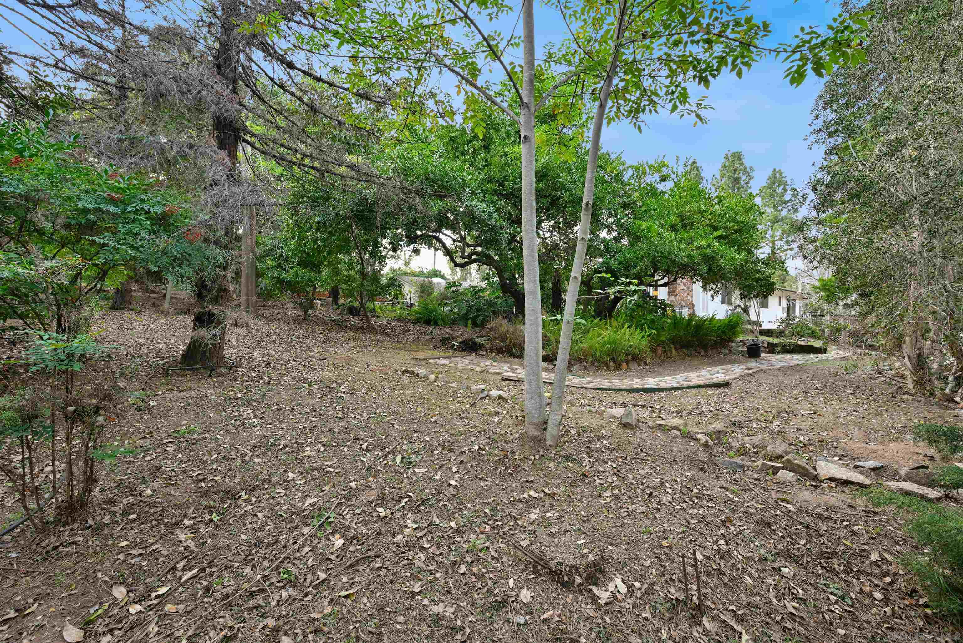 Detail Gallery Image 33 of 36 For 8615  Mariposa St, La Mesa,  CA 91941 - 4 Beds | 2/1 Baths