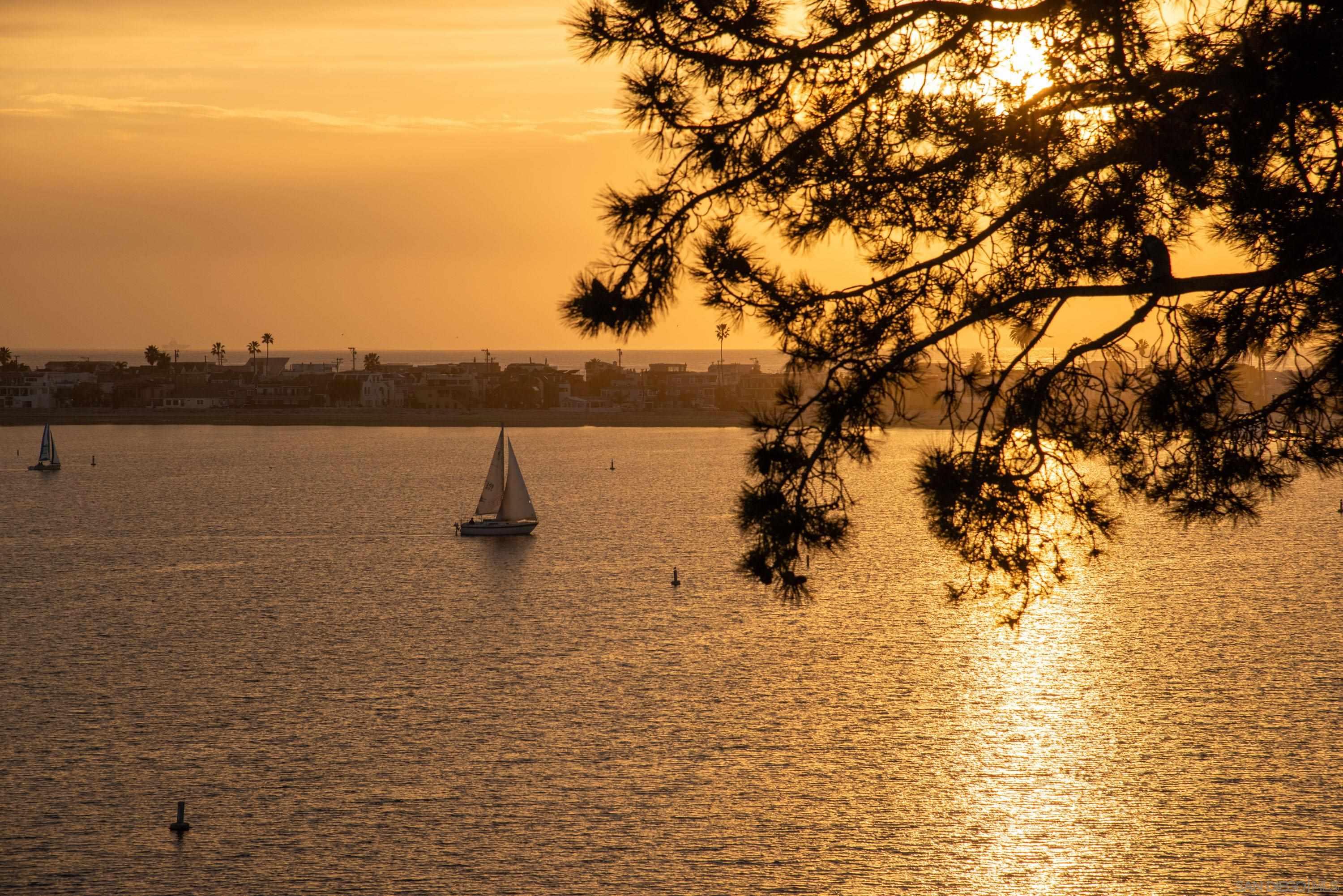 Detail Gallery Image 3 of 56 For 3940  Gresham St  #251,  San Diego,  CA 92109 - 2 Beds | 2 Baths