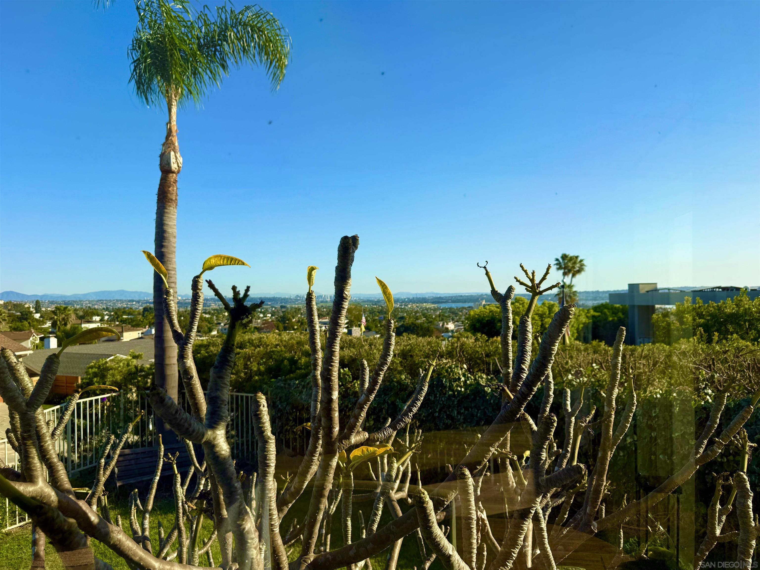 Detail Gallery Image 15 of 27 For 5432  Candlelight Drive, La Jolla,  CA 92037 - 5 Beds | 3 Baths