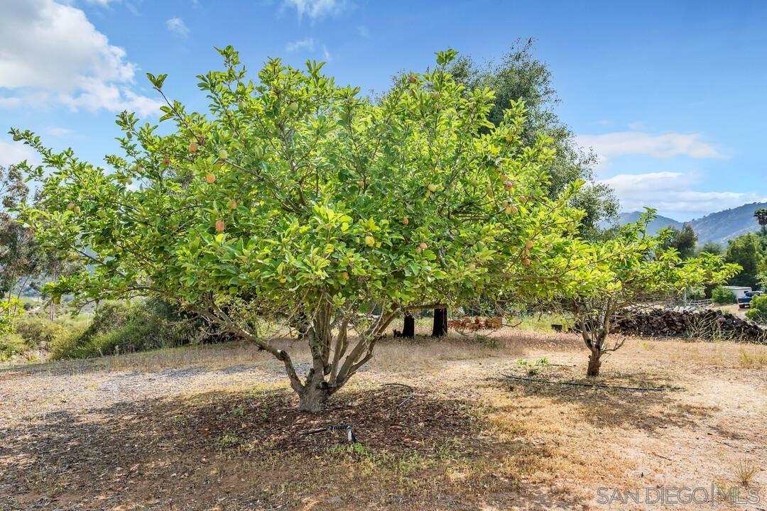 Detail Gallery Image 20 of 48 For 3453  via Loma Vista, Escondido,  CA 92029 - 4 Beds | 3 Baths