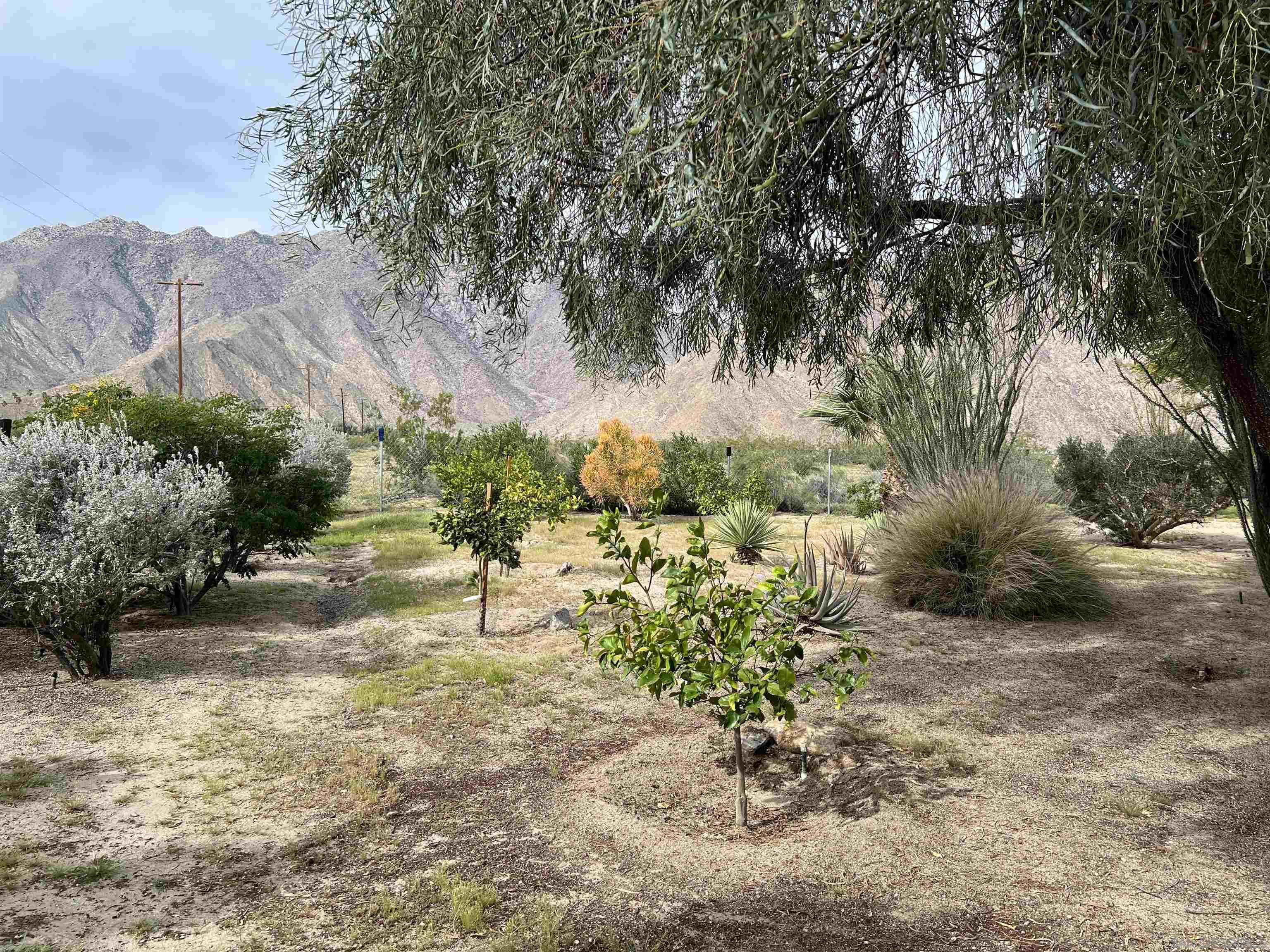 Detail Gallery Image 23 of 52 For 305  Velite Dr, Borrego Springs,  CA 92004 - 3 Beds | 2 Baths