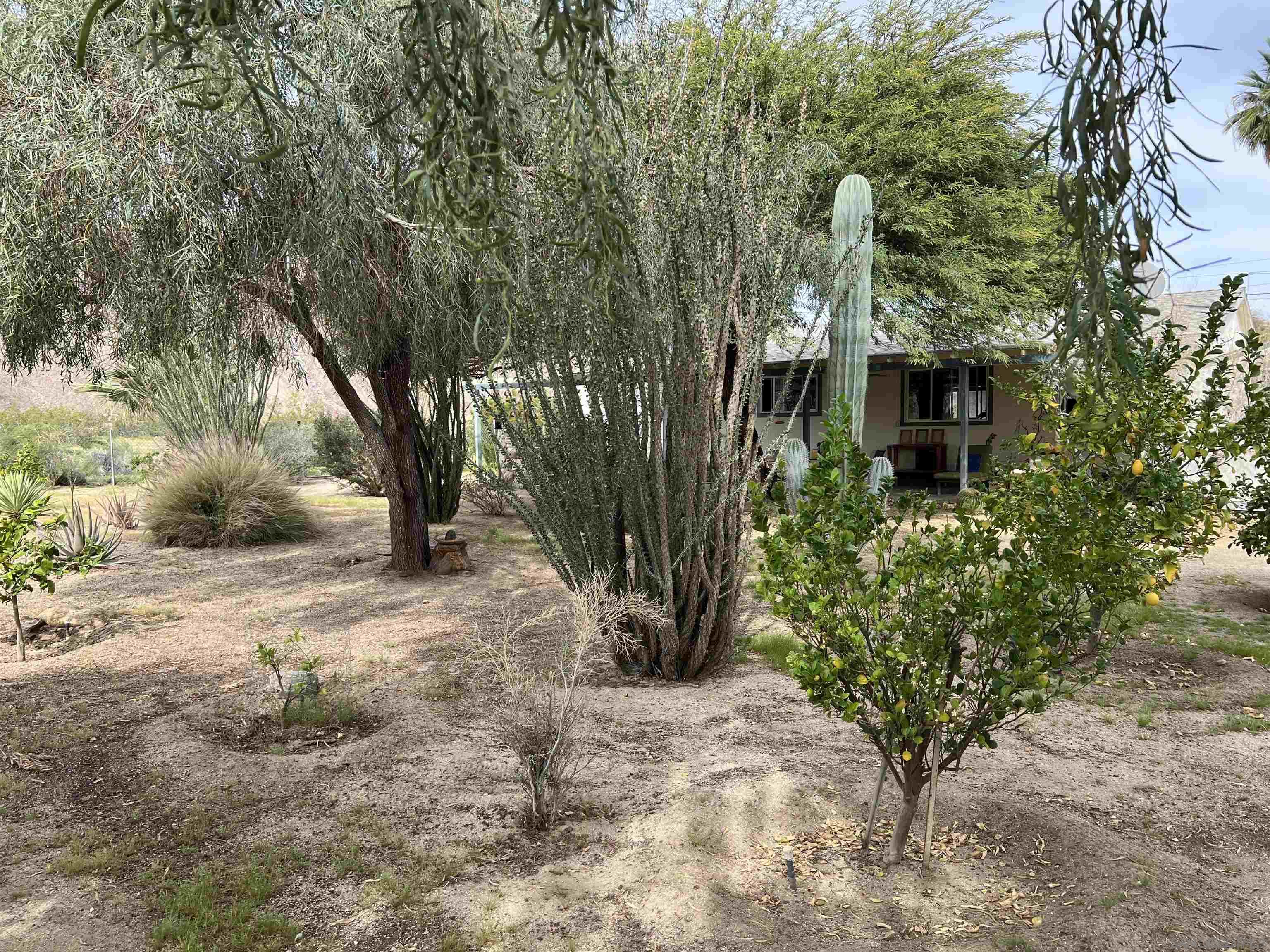 Detail Gallery Image 24 of 52 For 305  Velite Dr, Borrego Springs,  CA 92004 - 3 Beds | 2 Baths