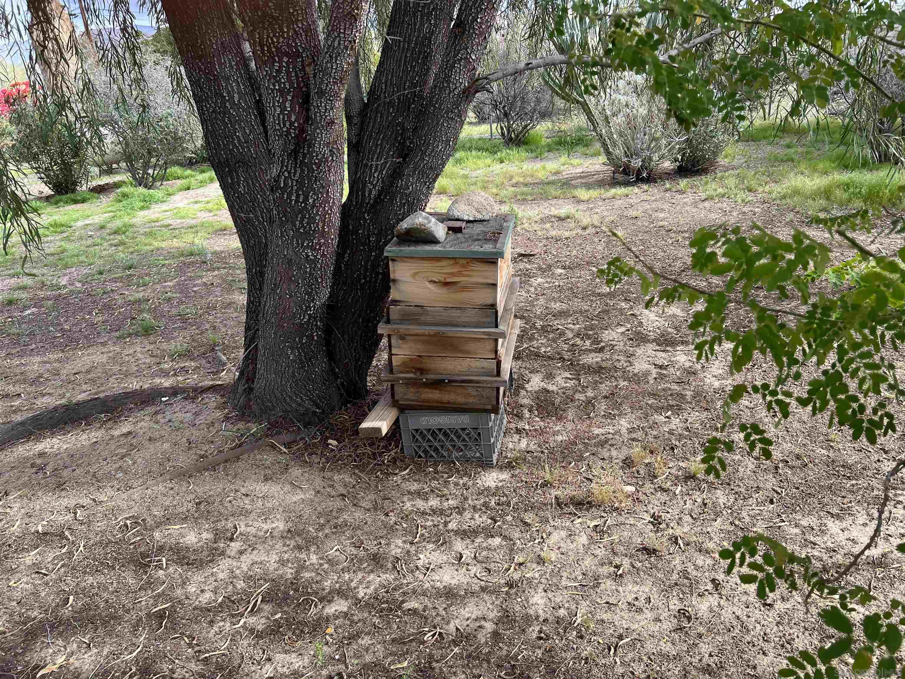 Detail Gallery Image 26 of 52 For 305  Velite Dr, Borrego Springs,  CA 92004 - 3 Beds | 2 Baths