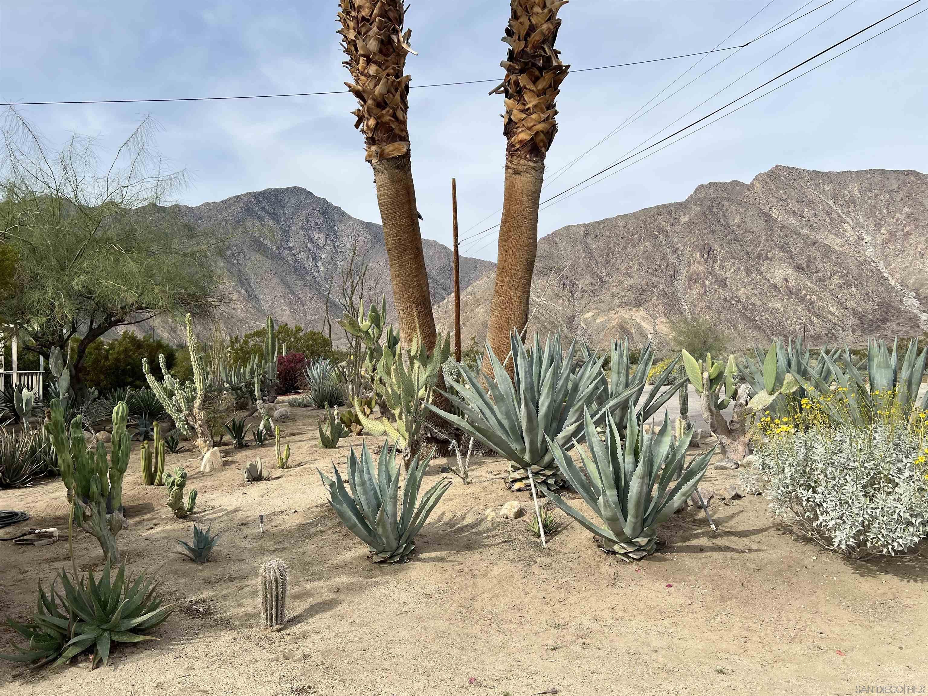 Detail Gallery Image 4 of 52 For 305  Velite Dr, Borrego Springs,  CA 92004 - 3 Beds | 2 Baths
