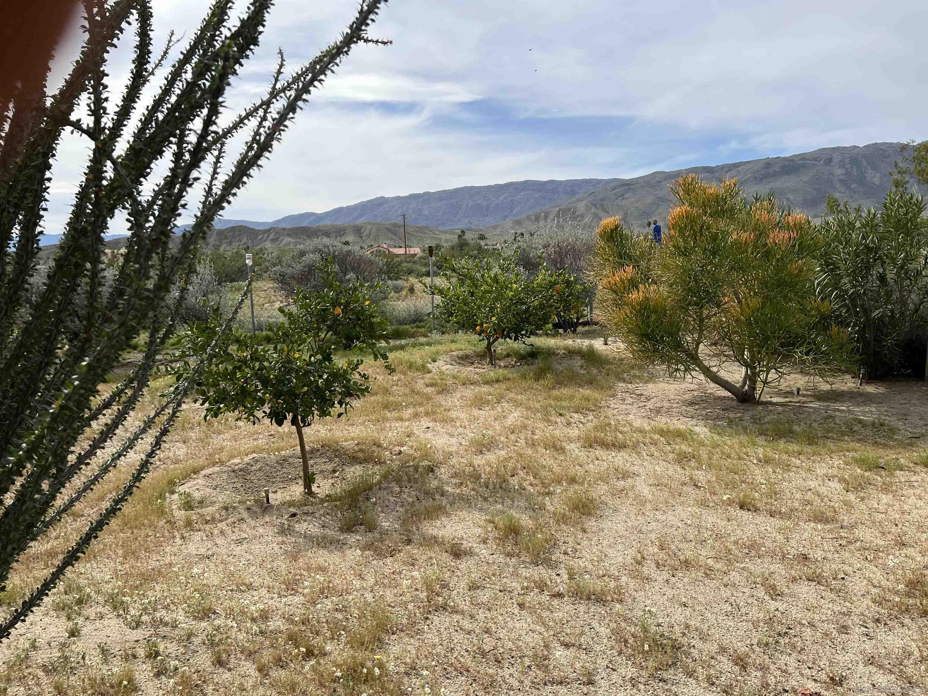 Detail Gallery Image 32 of 52 For 305  Velite Dr, Borrego Springs,  CA 92004 - 3 Beds | 2 Baths
