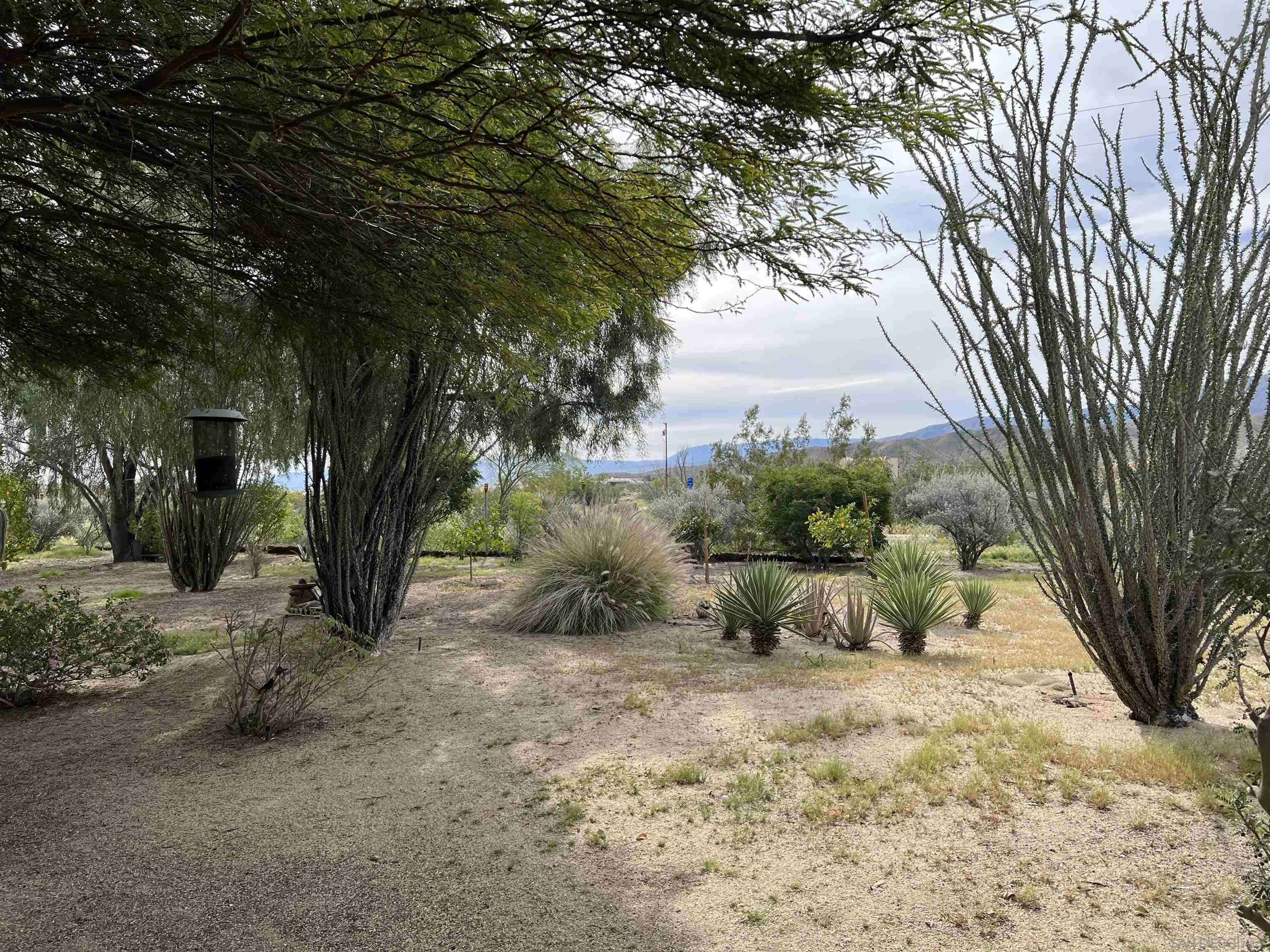Detail Gallery Image 36 of 52 For 305  Velite Dr, Borrego Springs,  CA 92004 - 3 Beds | 2 Baths