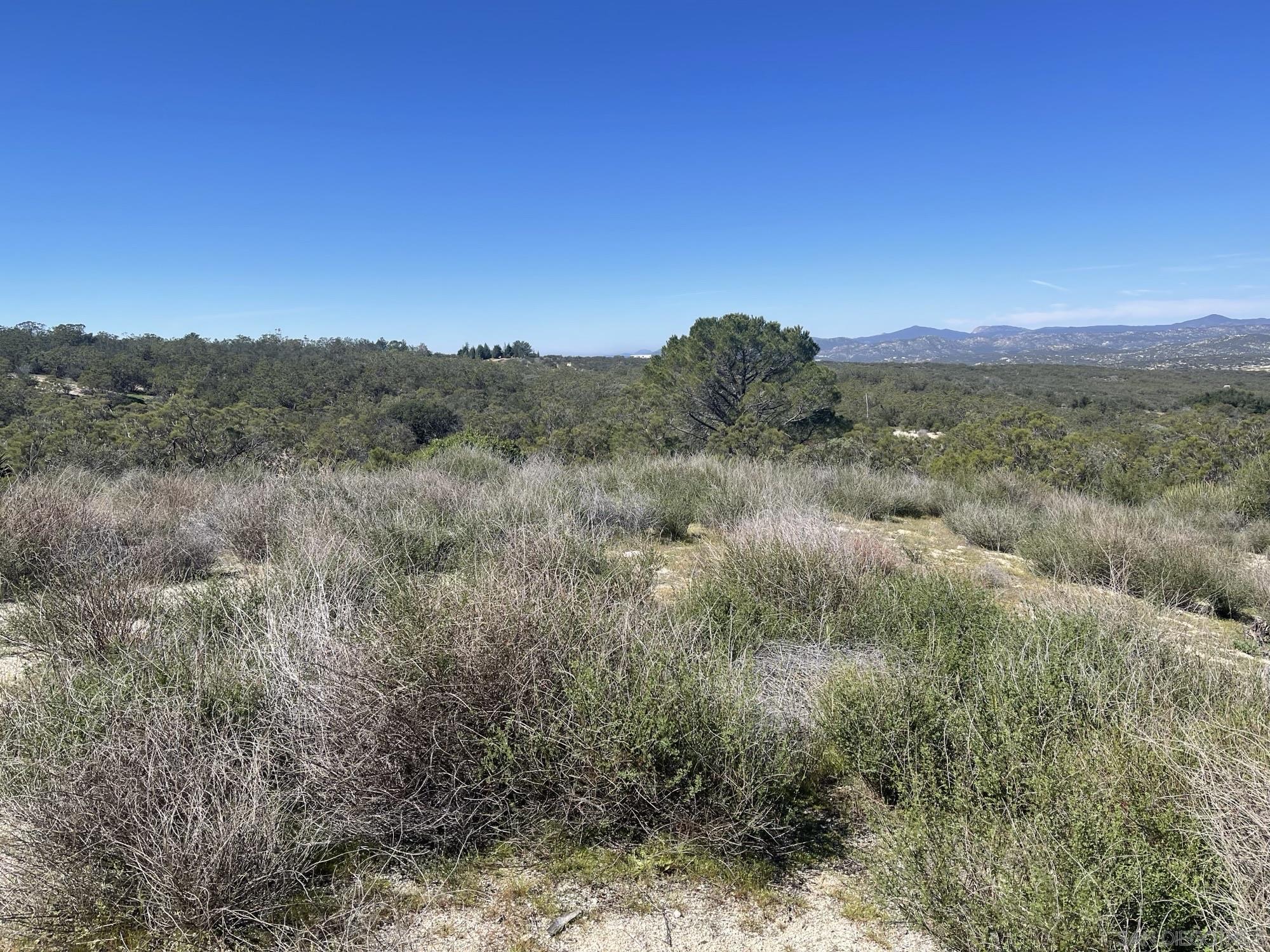 Detail Gallery Image 14 of 24 For , Boulevard,  CA 91905 - – Beds | – Baths