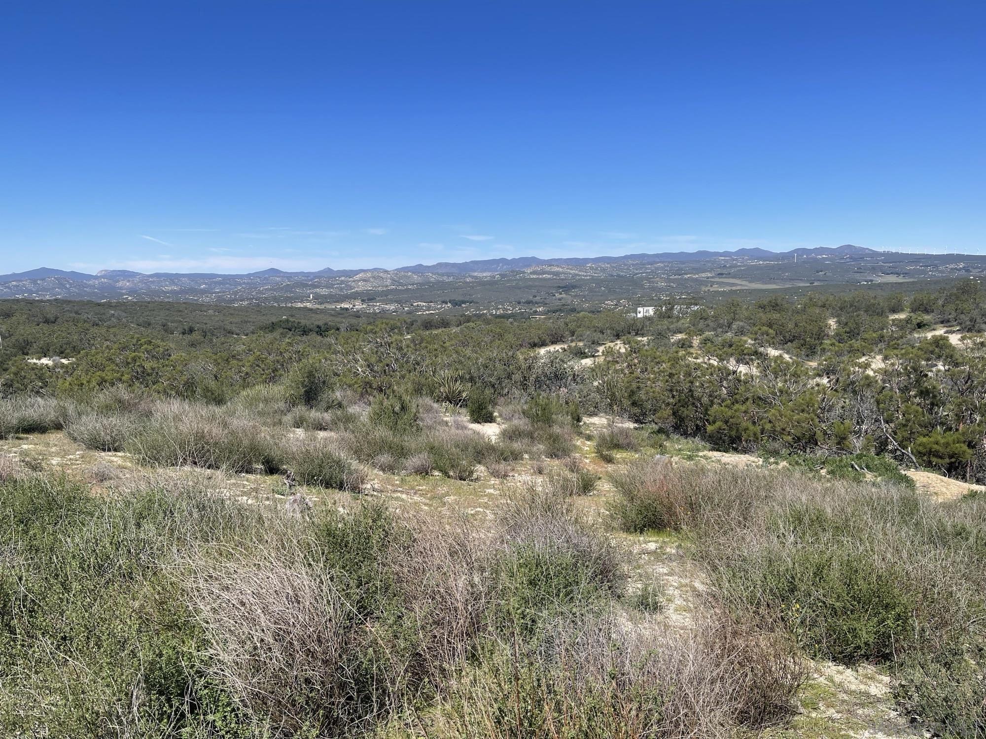 Detail Gallery Image 15 of 24 For , Boulevard,  CA 91905 - – Beds | – Baths