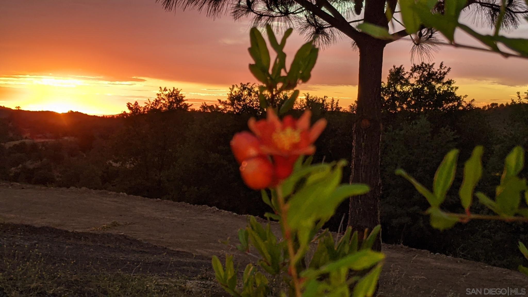 Detail Gallery Image 23 of 23 For , Julian,  CA 92036 - – Beds | – Baths