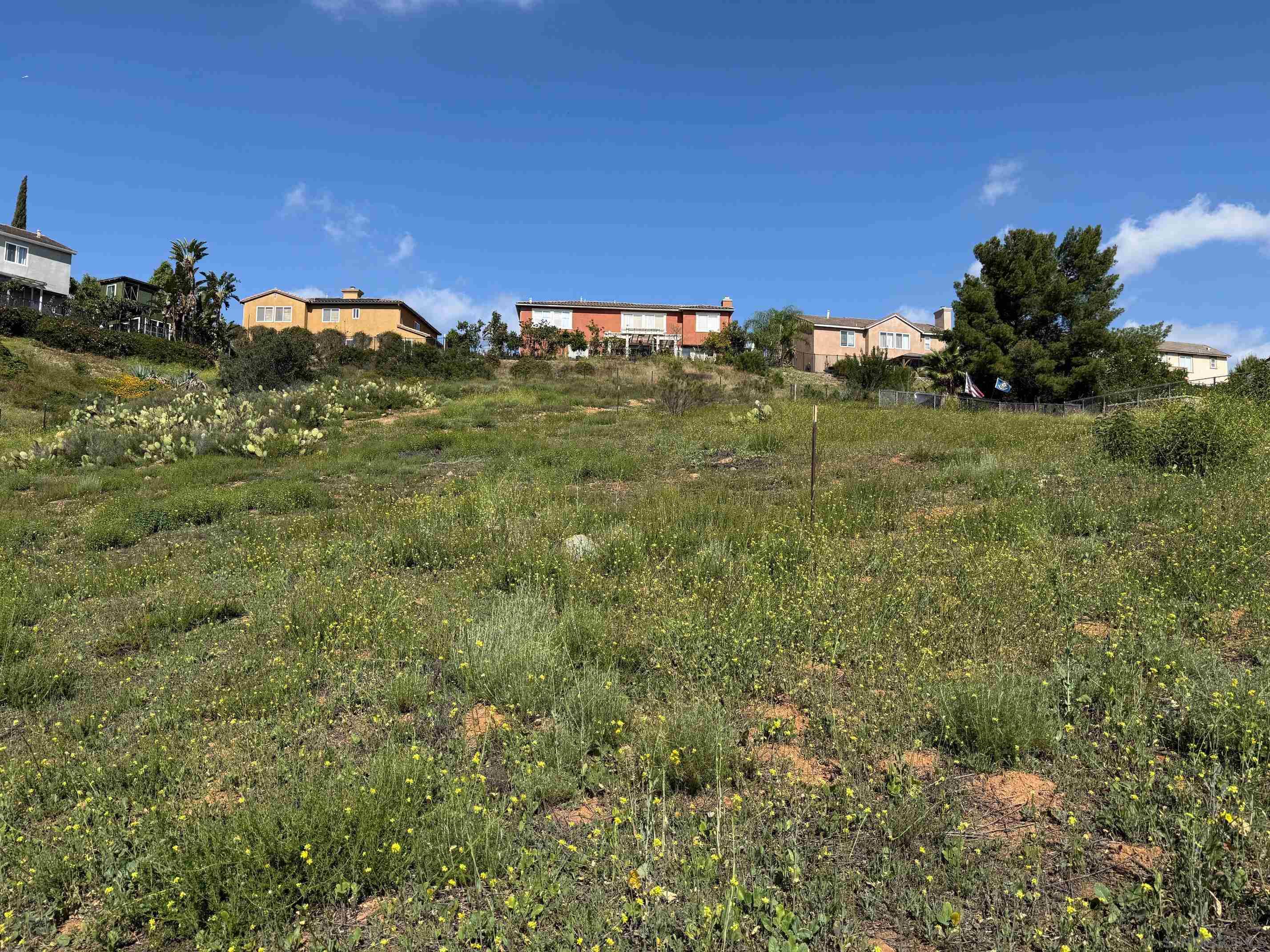 Detail Gallery Image 4 of 23 For , La Mesa,  CA 91941 - – Beds | – Baths