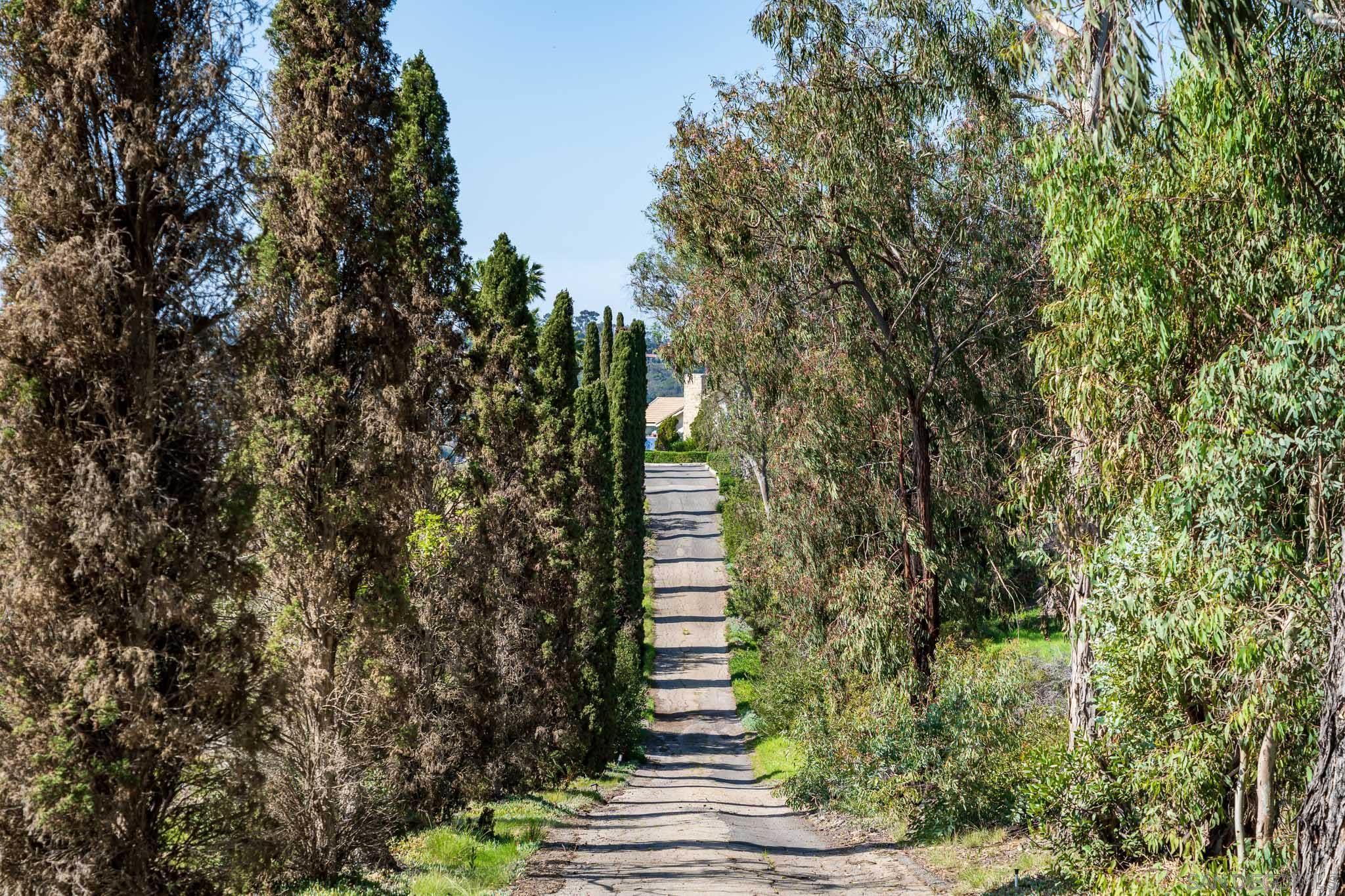 Detail Gallery Image 2 of 25 For 18024  Avenida Alondra, Rancho Santa Fe,  CA 92067 - 4 Beds | 7/1 Baths